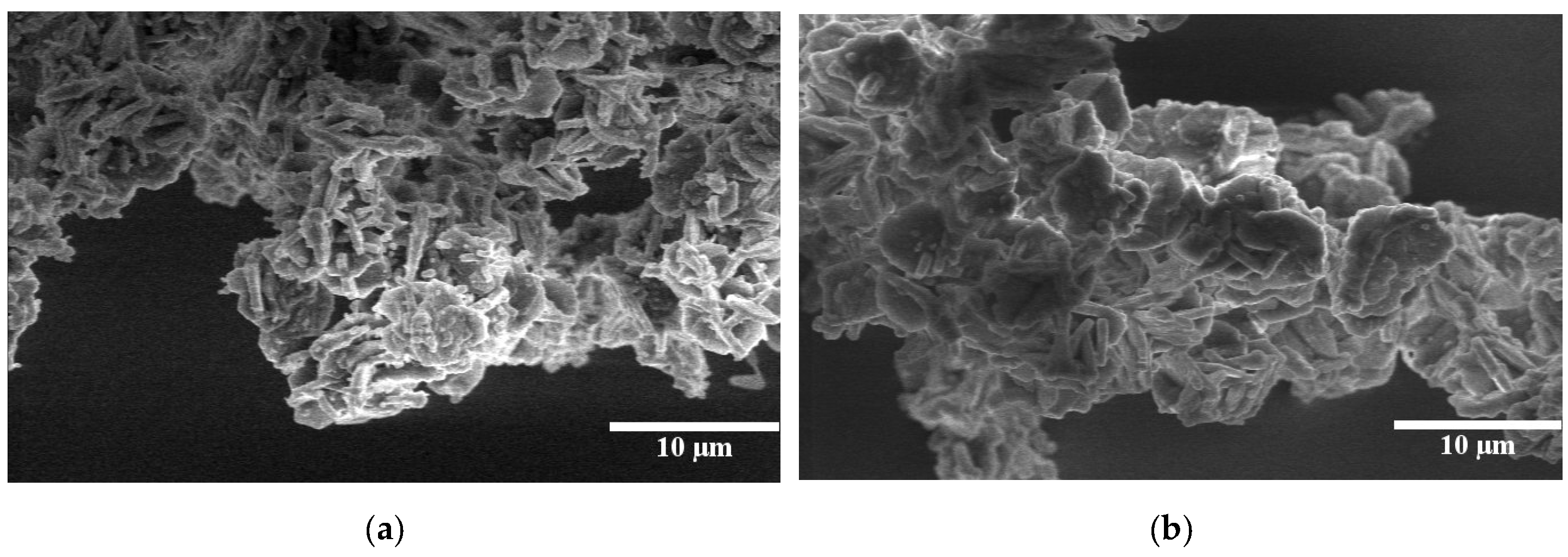 Molecules 25 04909 g007 Molecules 25 04909 g007