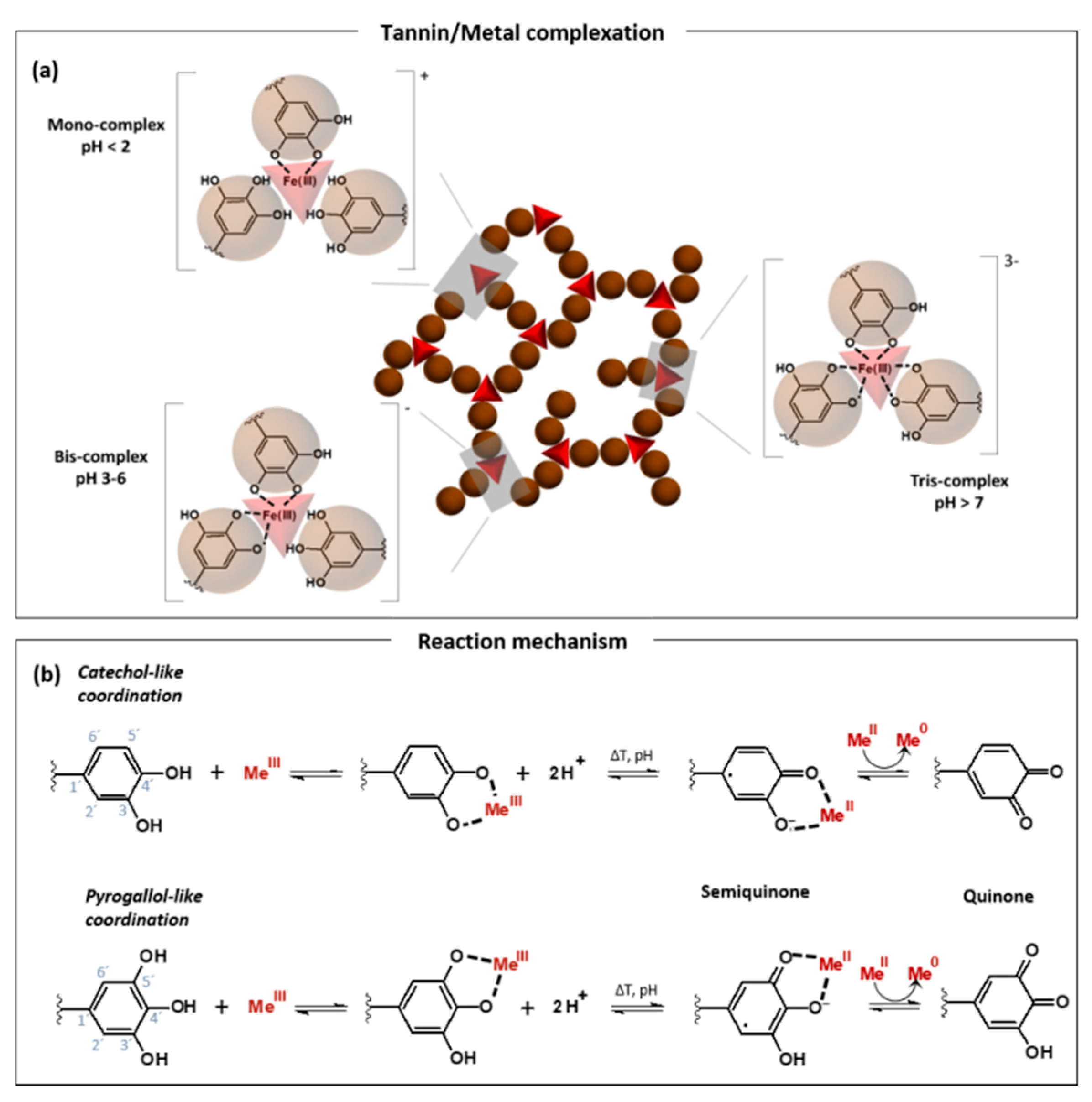 Molecules 25 04910 g002 Molecules 25 04910 g002