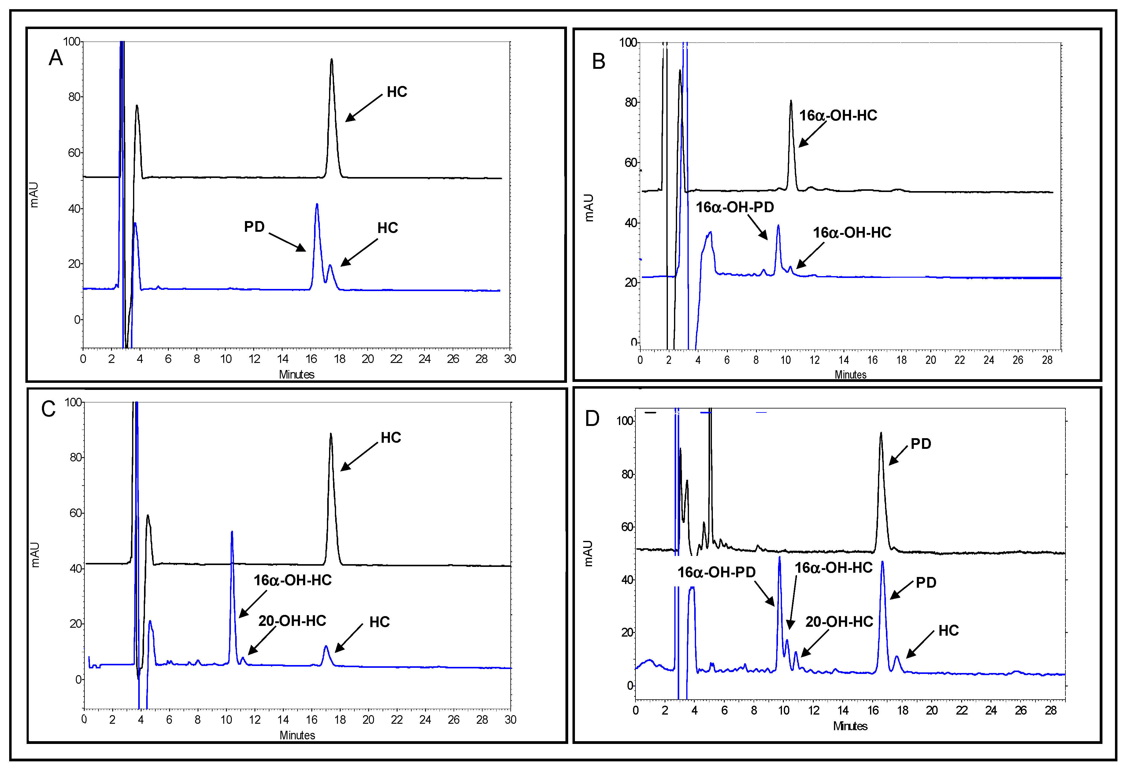 Molecules 25 04912 g003 Molecules 25 04912 g003
