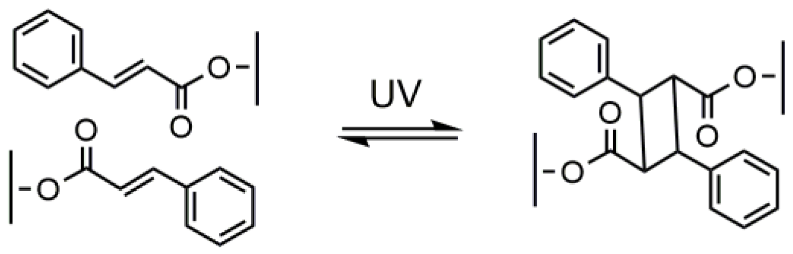 Molecules 25 04919 g004 Molecules 25 04919 g004