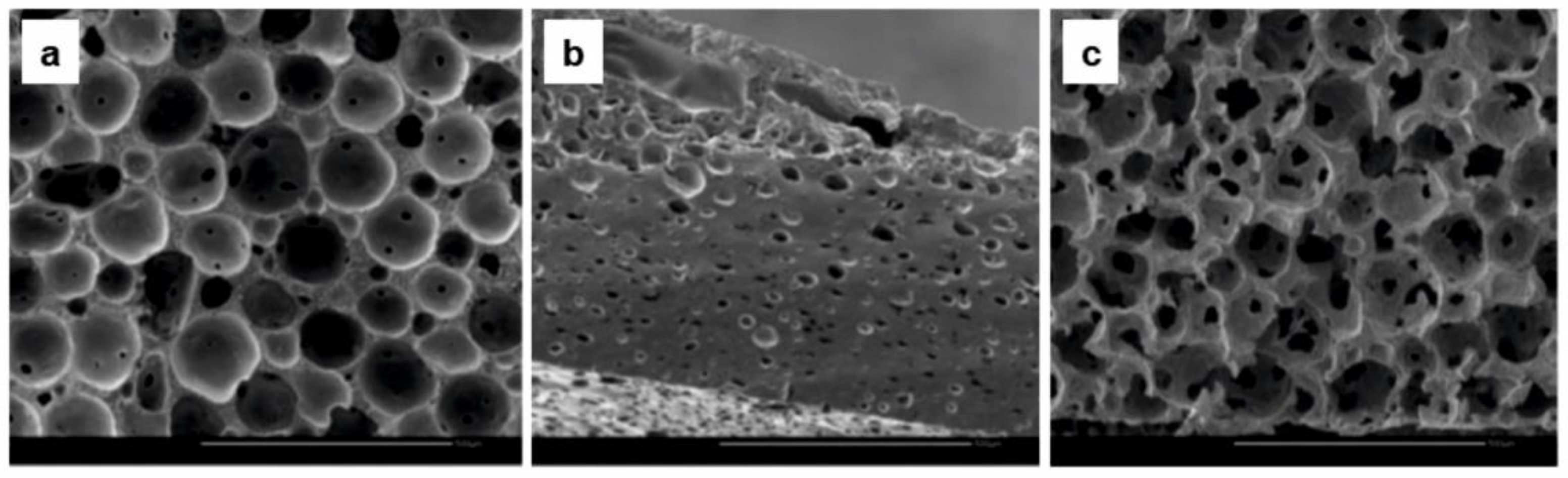 Molecules 25 04919 g008 Molecules 25 04919 g008
