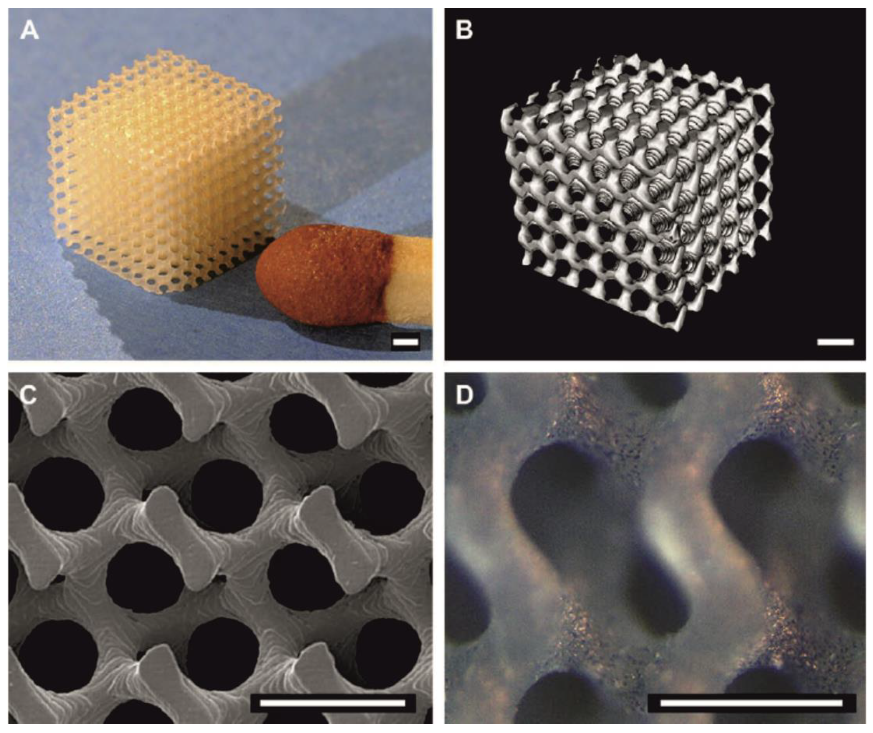 Molecules 25 04919 g009 Molecules 25 04919 g009