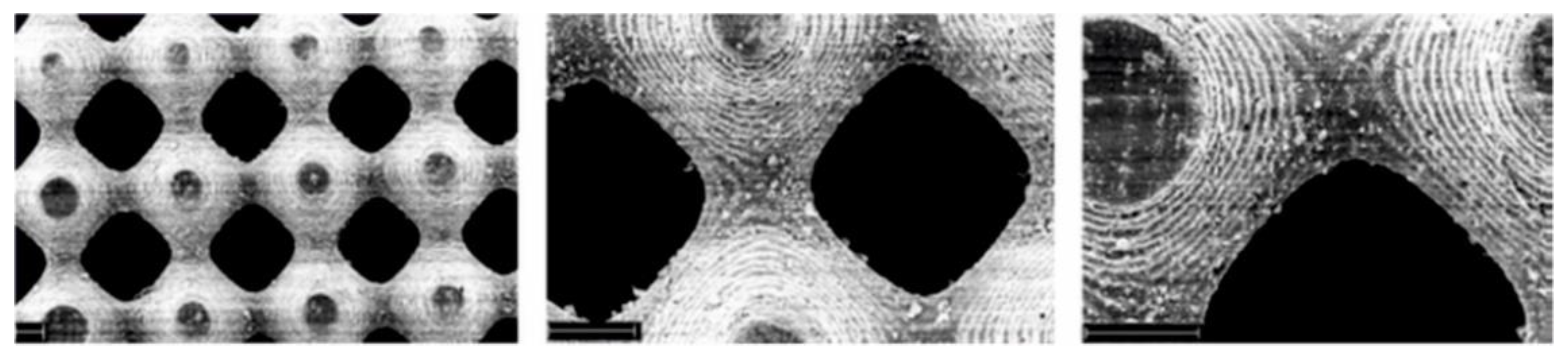 Molecules 25 04919 g011 Molecules 25 04919 g011
