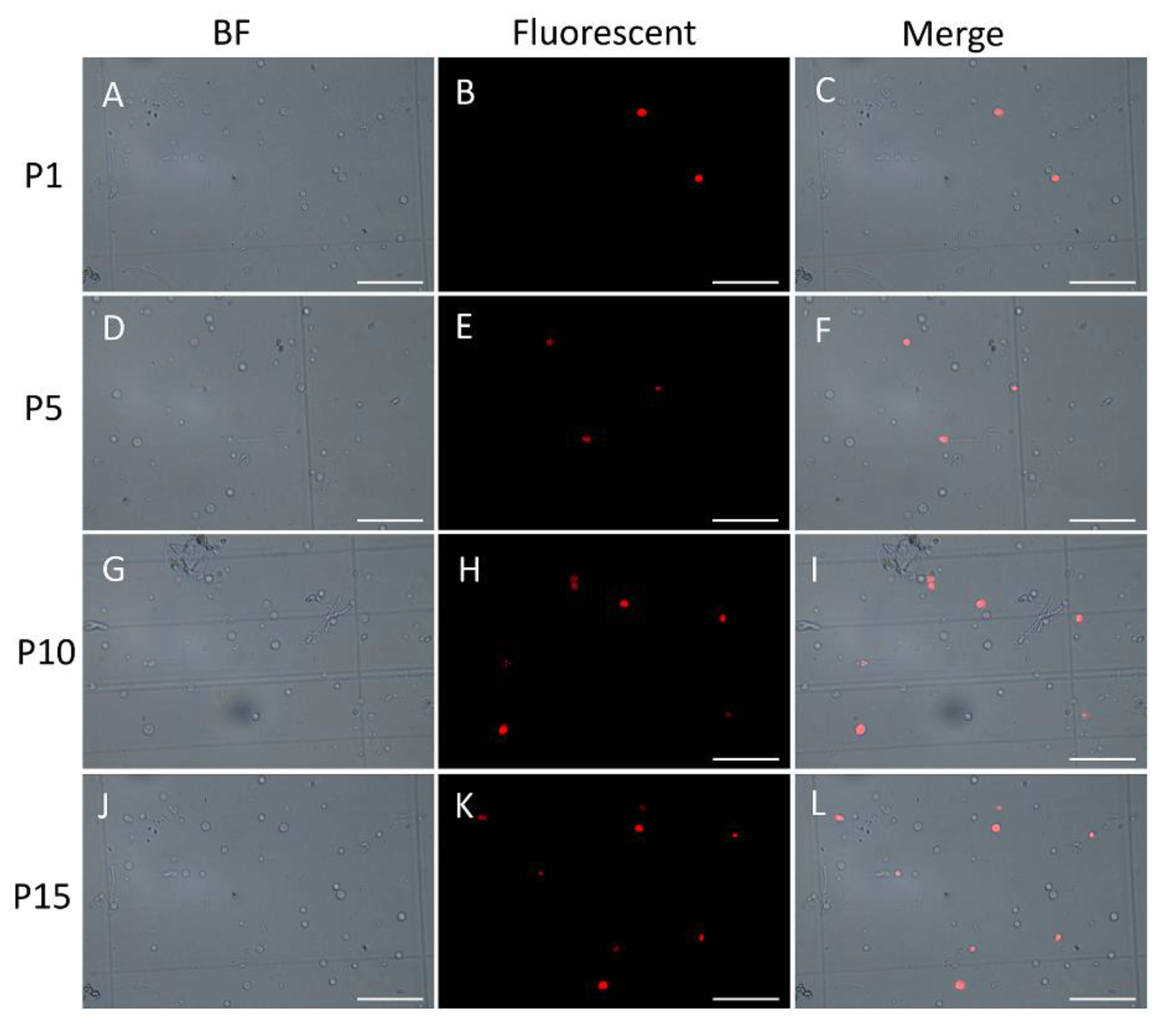 Molecules 25 04920 g006 Molecules 25 04920 g006