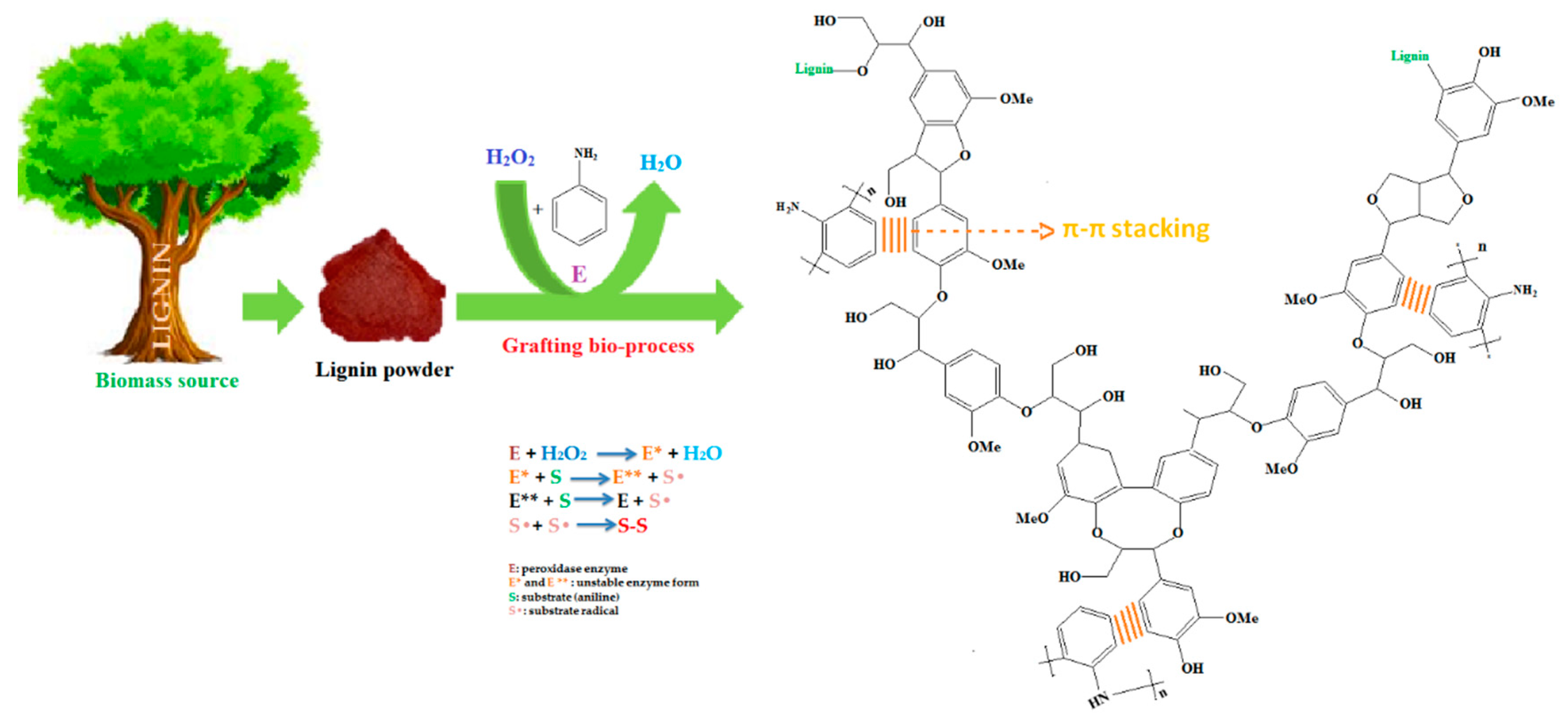 Molecules 25 04921 sch001 Molecules 25 04921 sch001