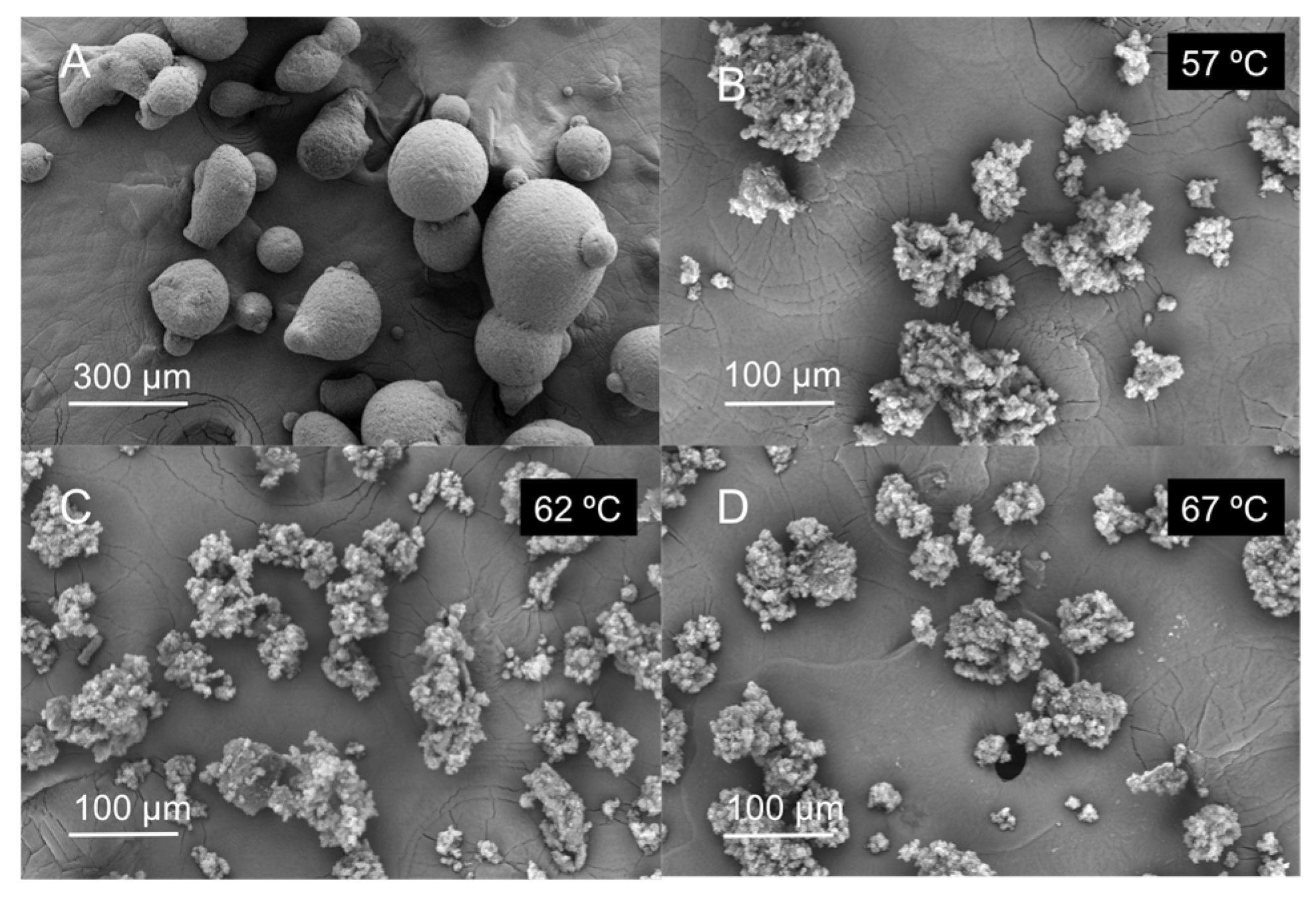 Molecules 25 04927 g003 Molecules 25 04927 g003