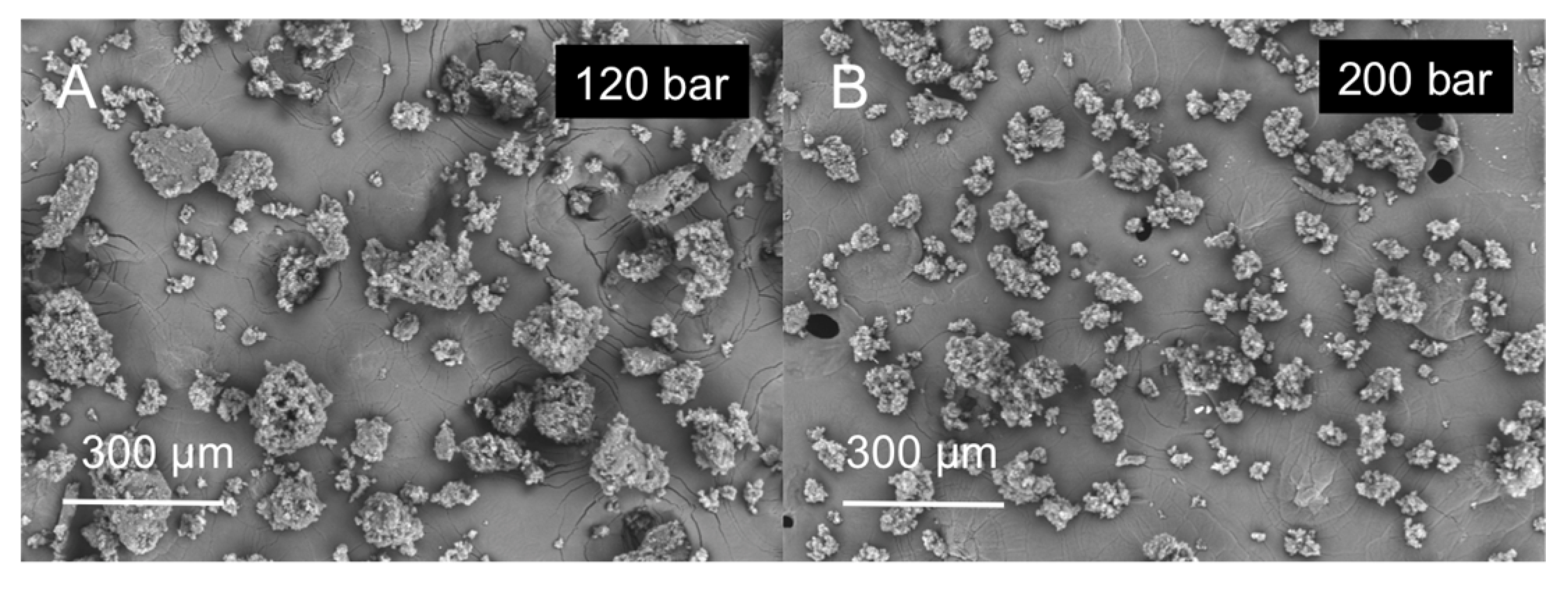 Molecules 25 04927 g004 Molecules 25 04927 g004