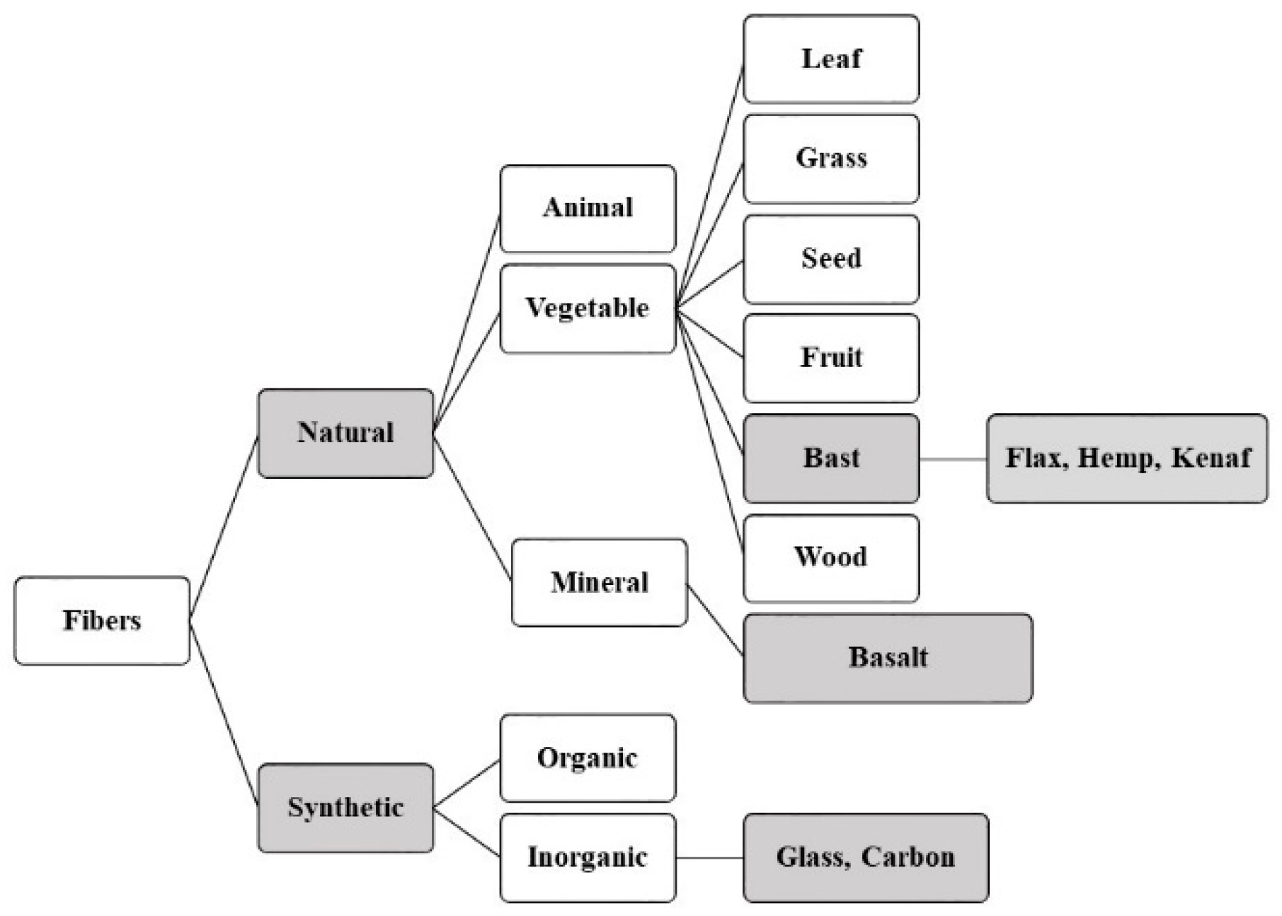 Molecules 25 04933 g002