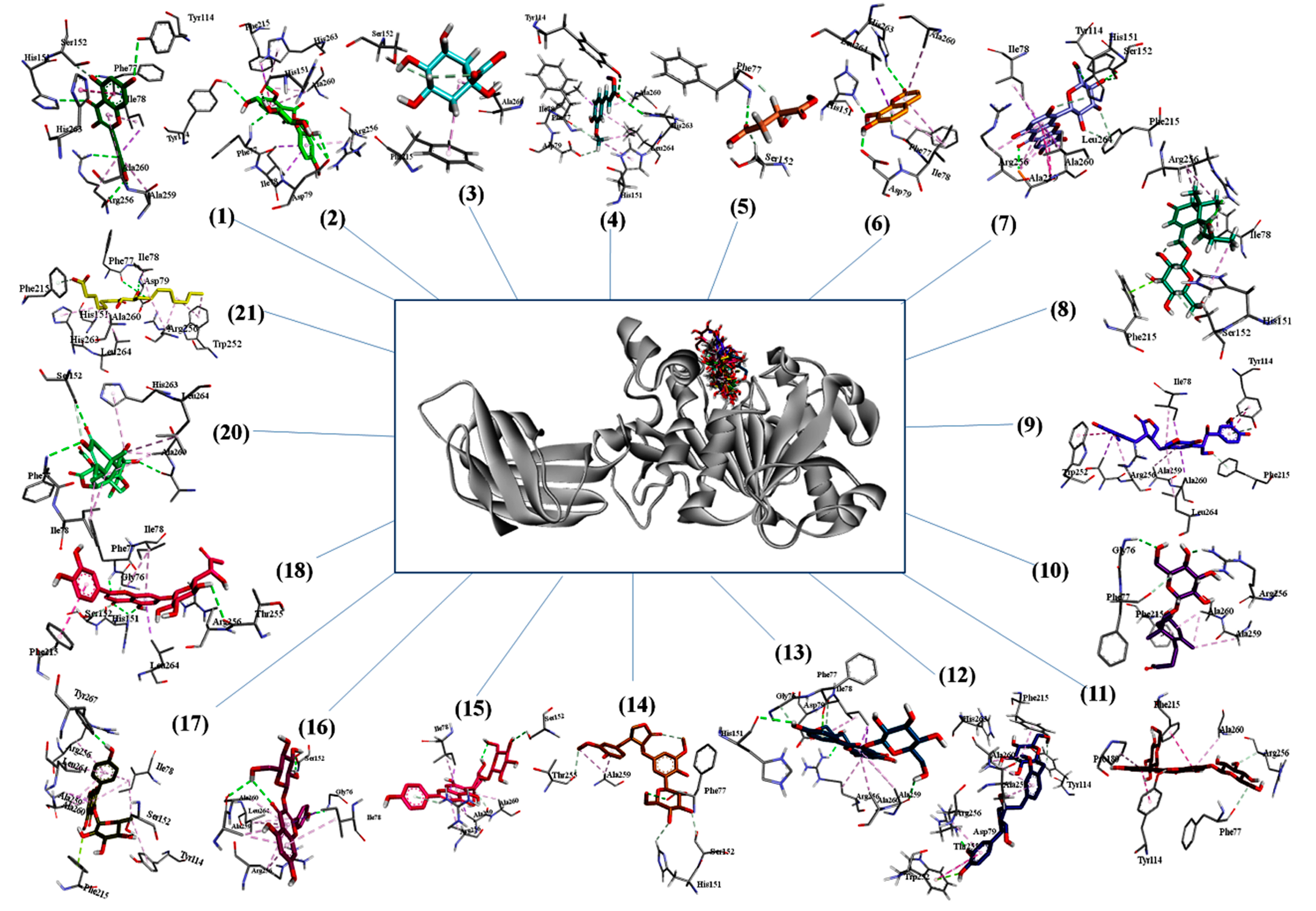 Molecules 25 04935 g003