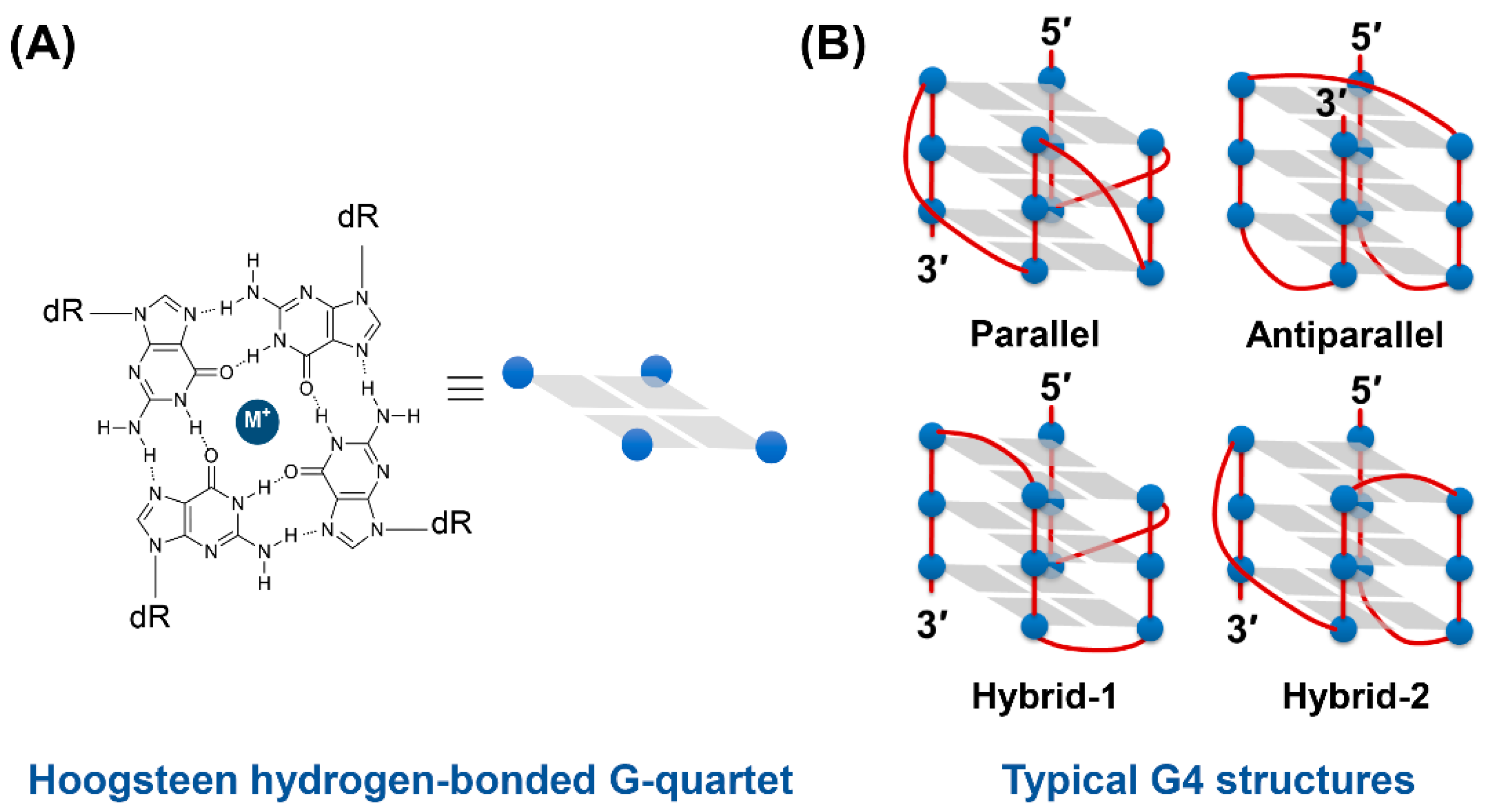 Molecules 25 04936 g001 Molecules 25 04936 g001
