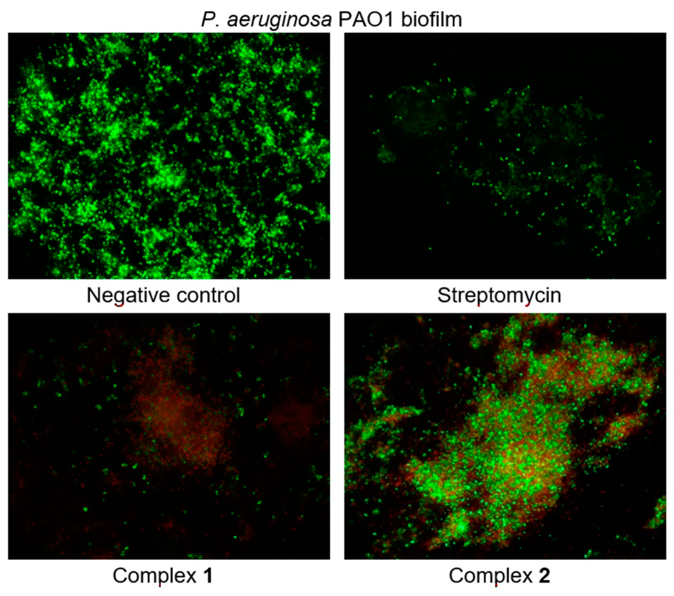 Molecules 25 04938 g011 Molecules 25 04938 g011