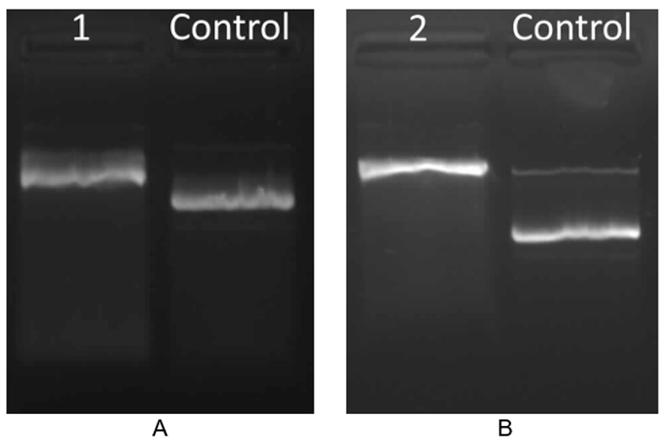 Molecules 25 04938 g012 Molecules 25 04938 g012