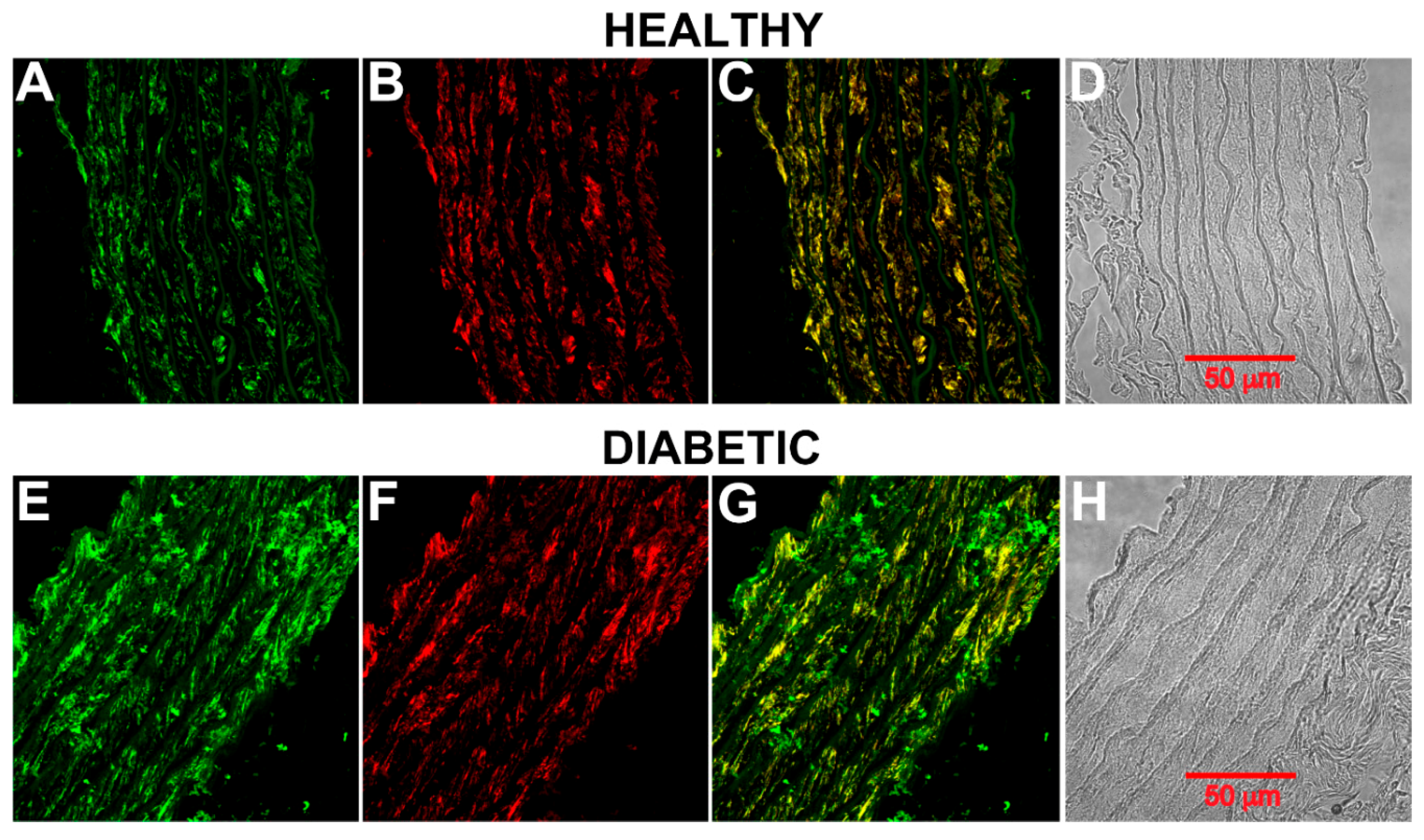 Molecules 25 04948 g003