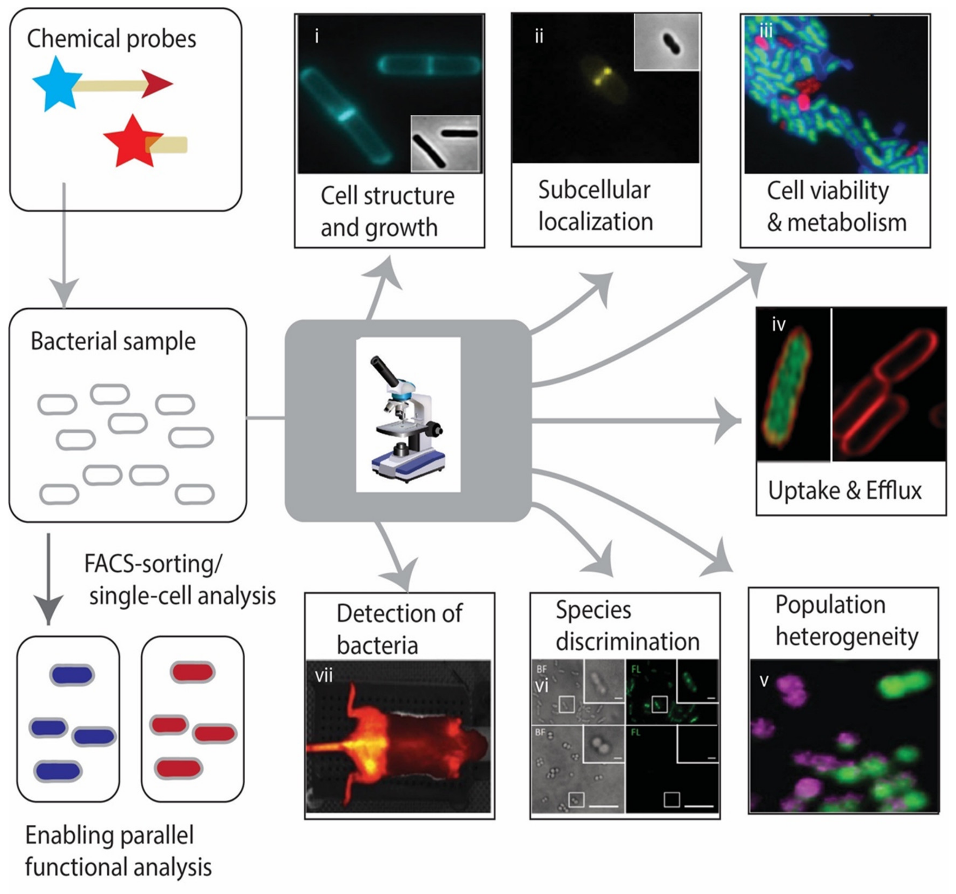 Molecules 25 04949 g002 Molecules 25 04949 g002
