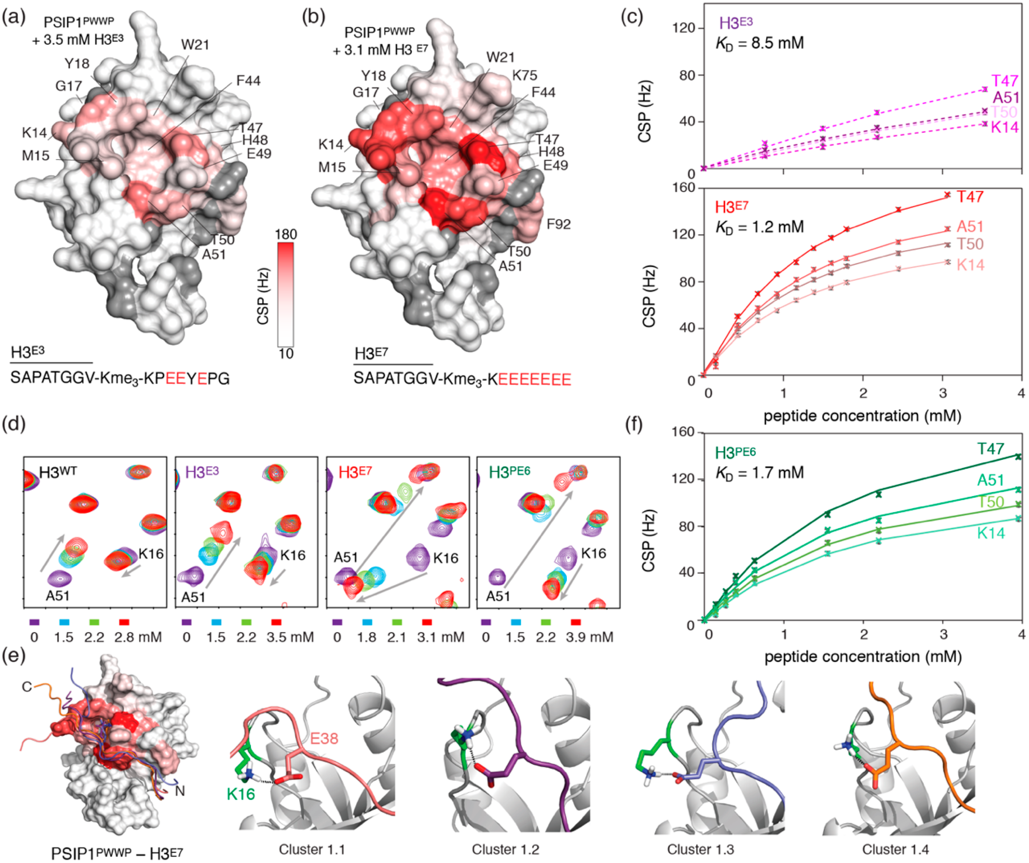 Molecules 25 04951 g003