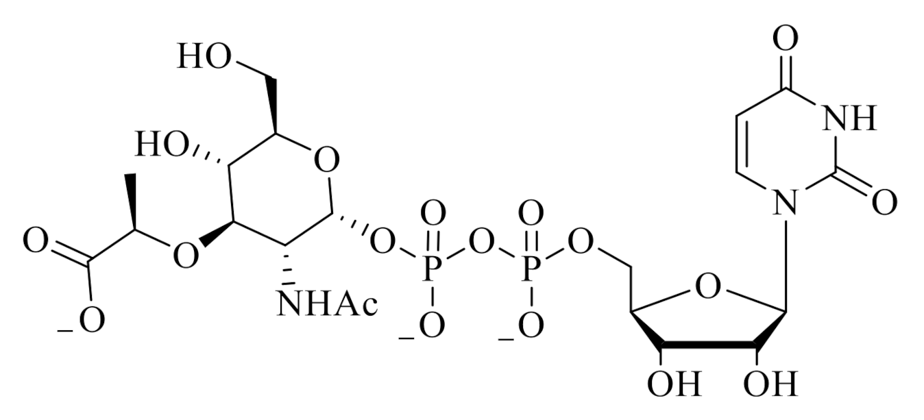 Molecules 25 04953 g001