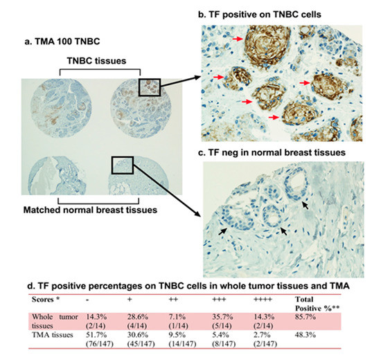 Current Targets and Bioconjugation Strategies in