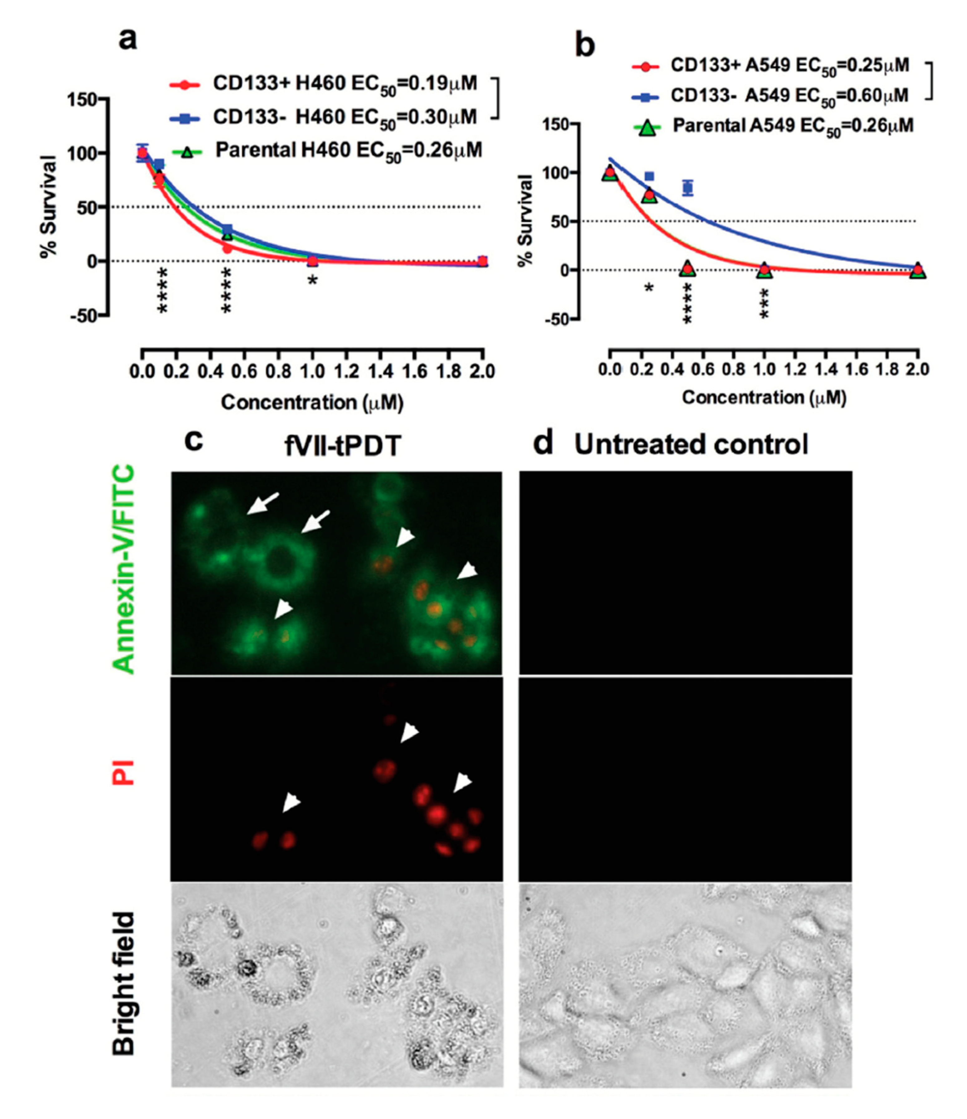 Molecules 25 04964 g004