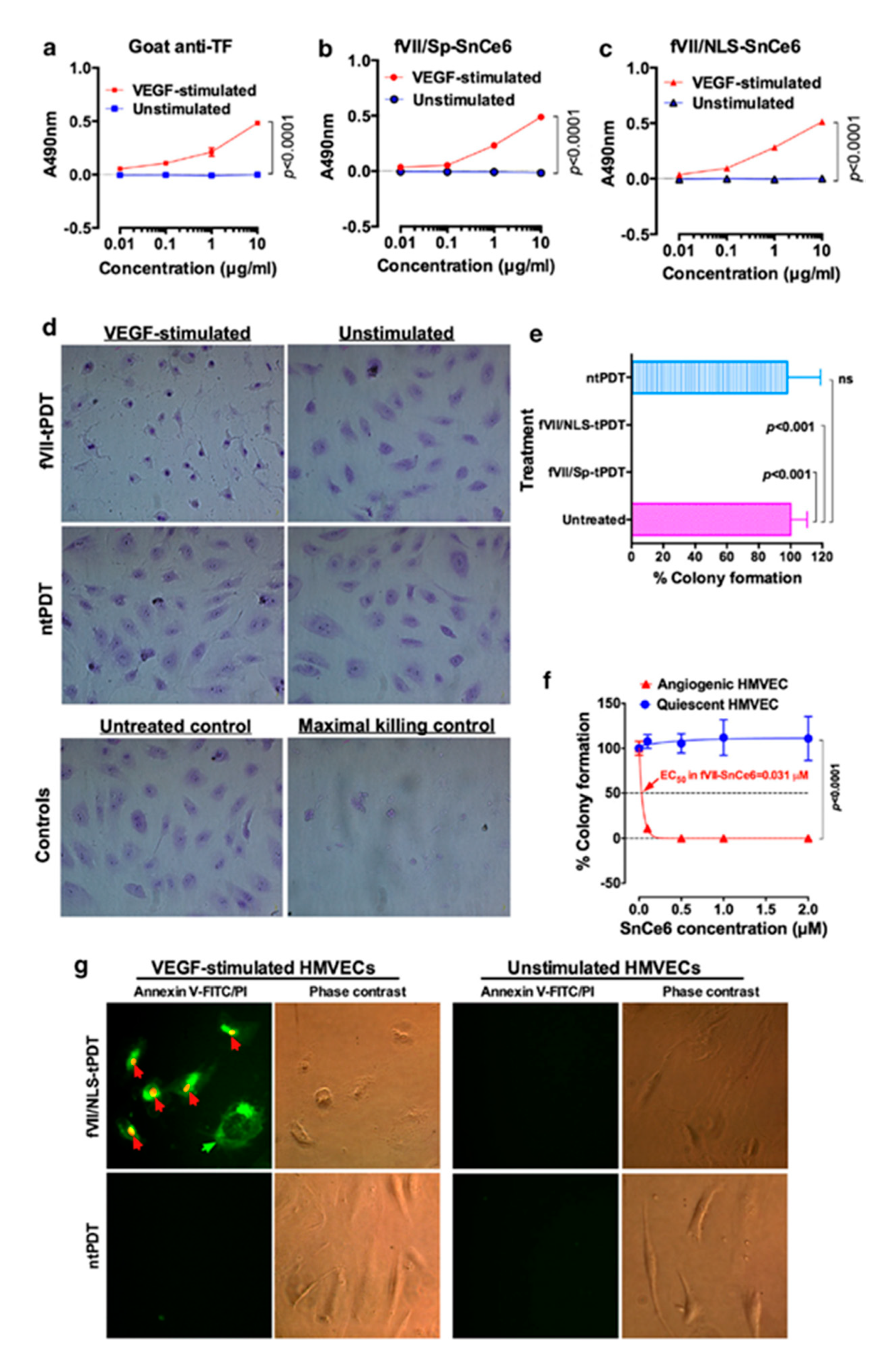 Molecules 25 04964 g005