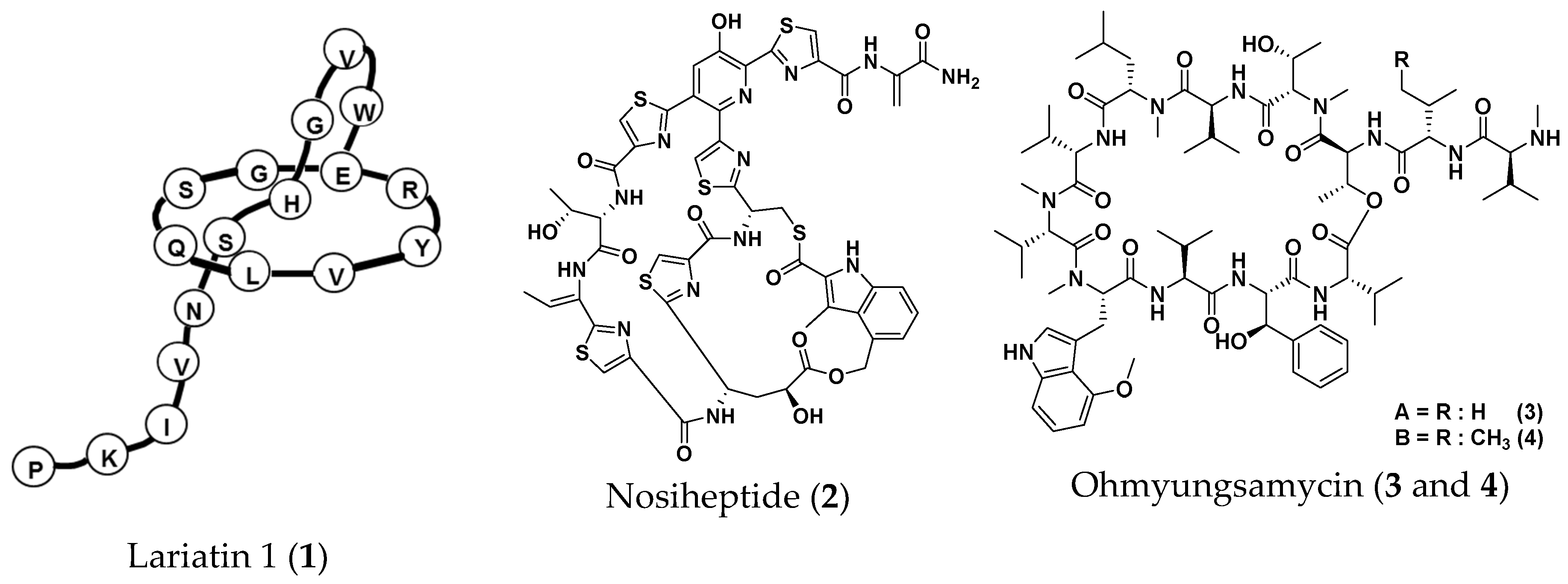 Molecules 25 04971 g004a Molecules 25 04971 g004a