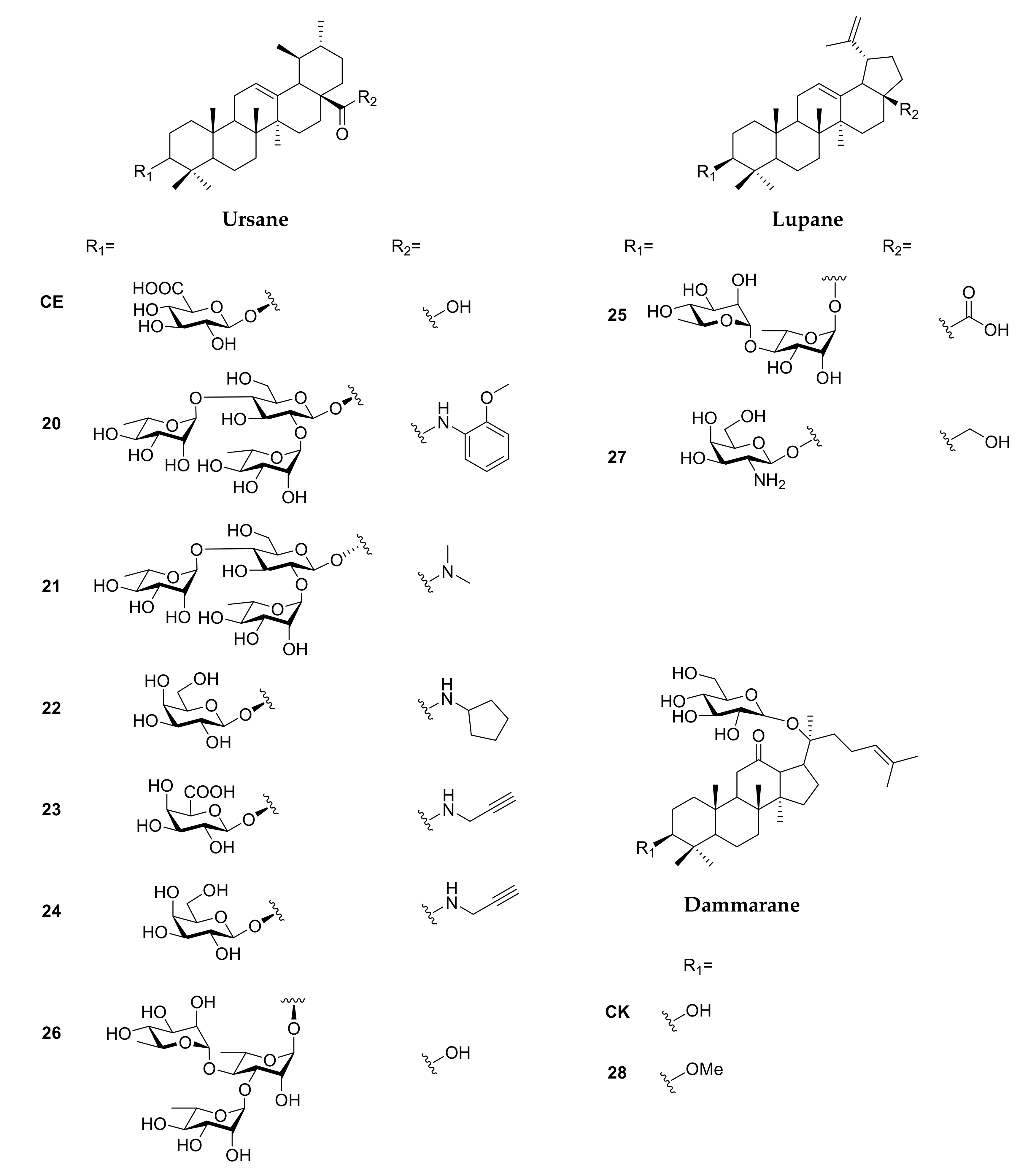 Molecules 25 04974 g004 Molecules 25 04974 g004