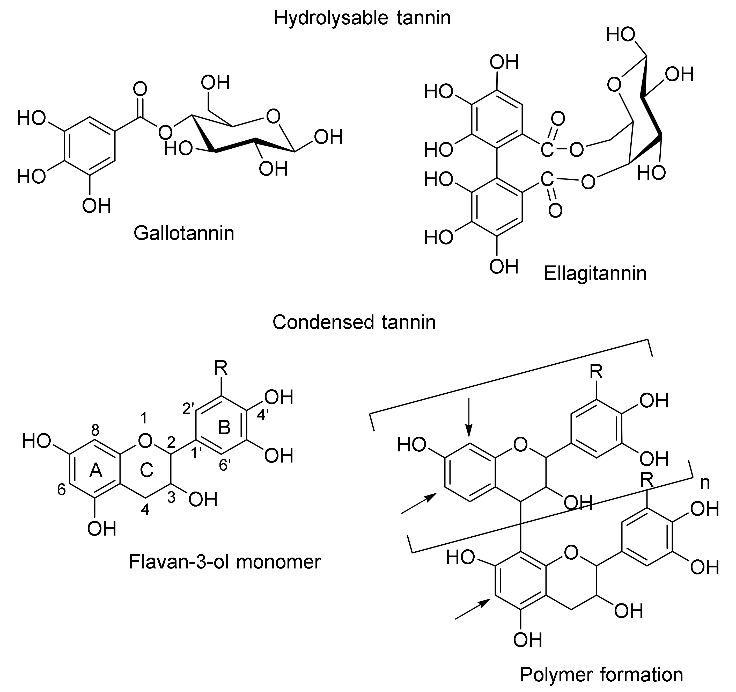 Molecules 25 04980 g001 Molecules 25 04980 g001