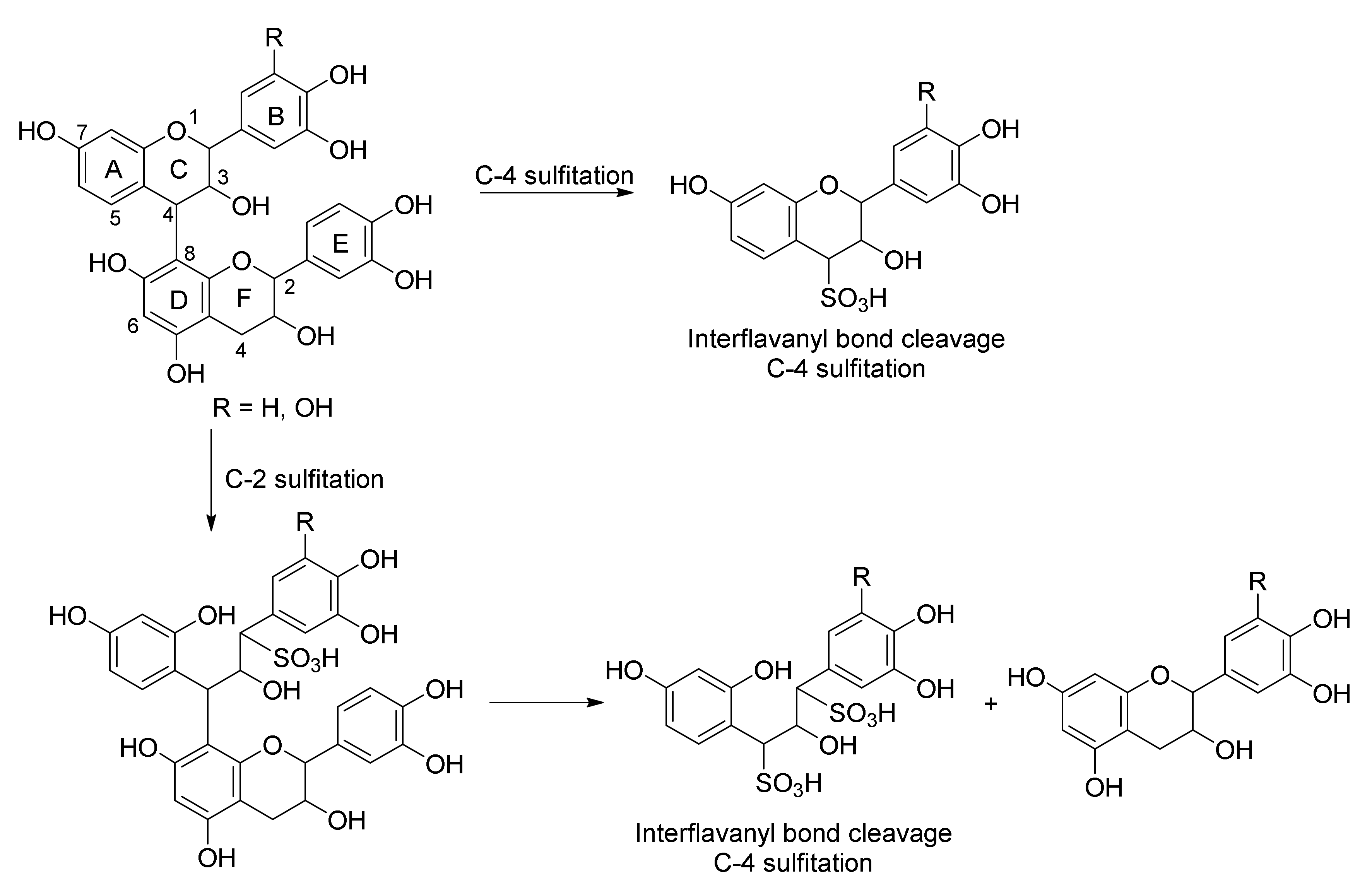 Molecules 25 04980 g003 Molecules 25 04980 g003