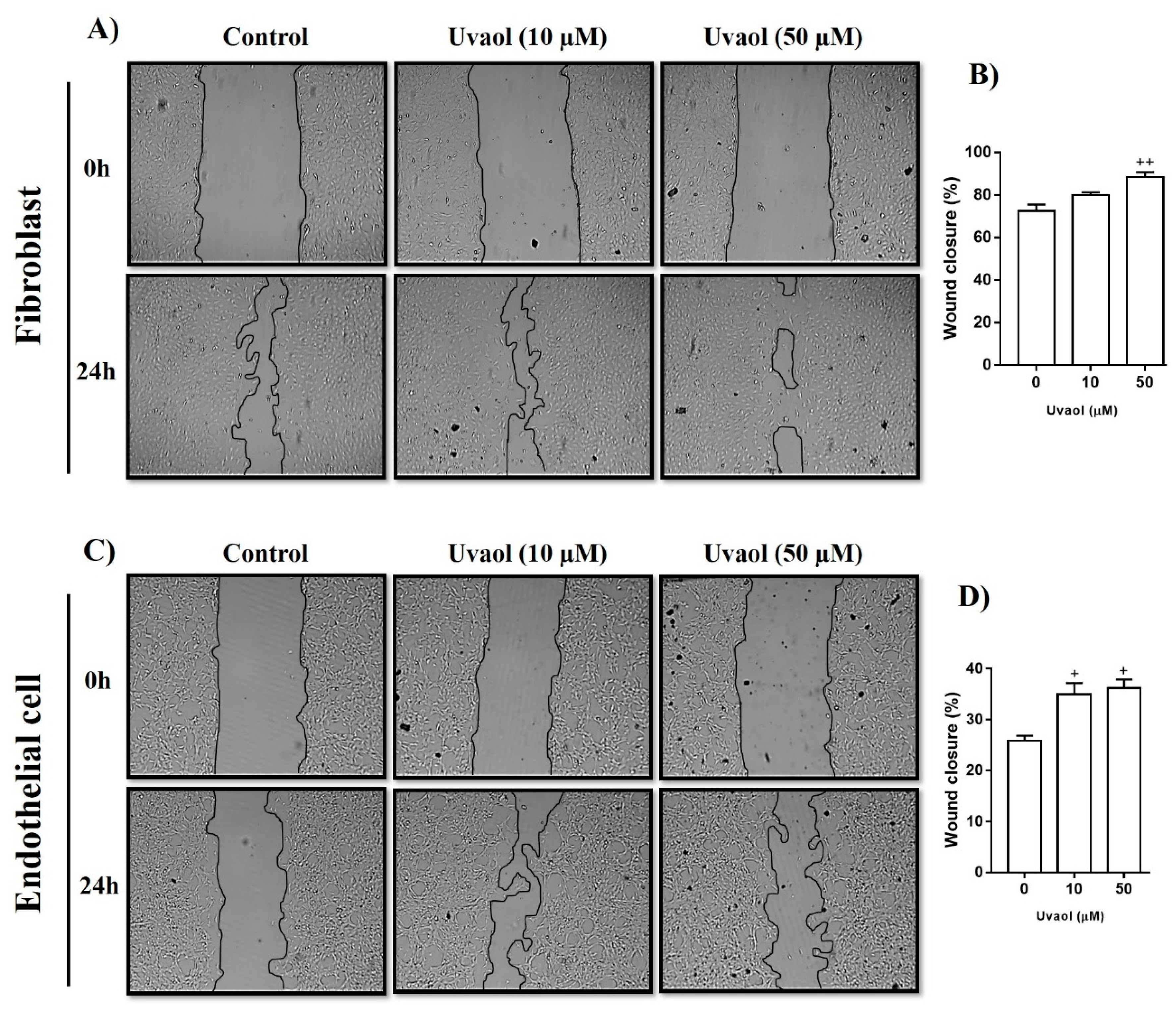 Molecules 25 04982 g003 Molecules 25 04982 g003