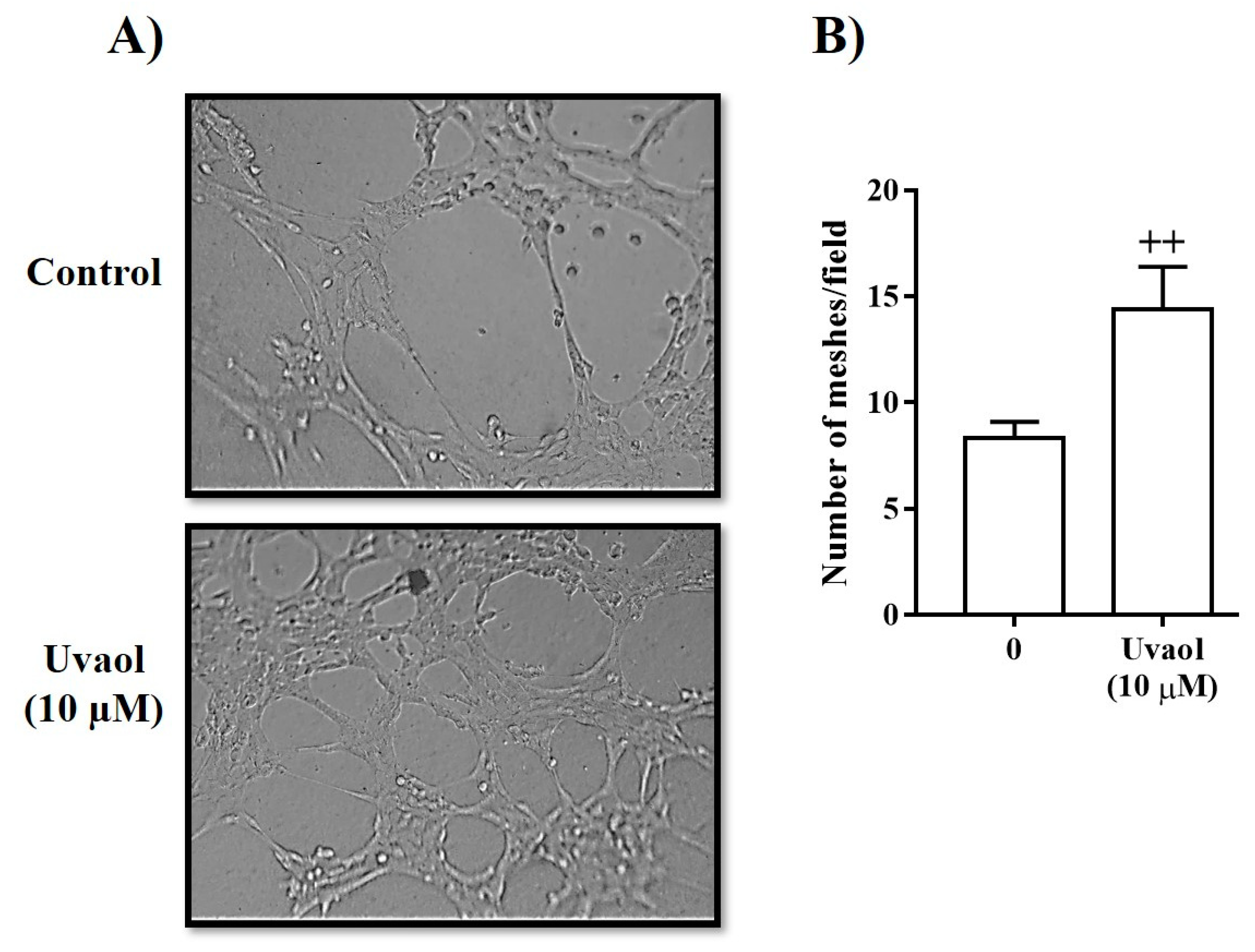 Molecules 25 04982 g005 Molecules 25 04982 g005