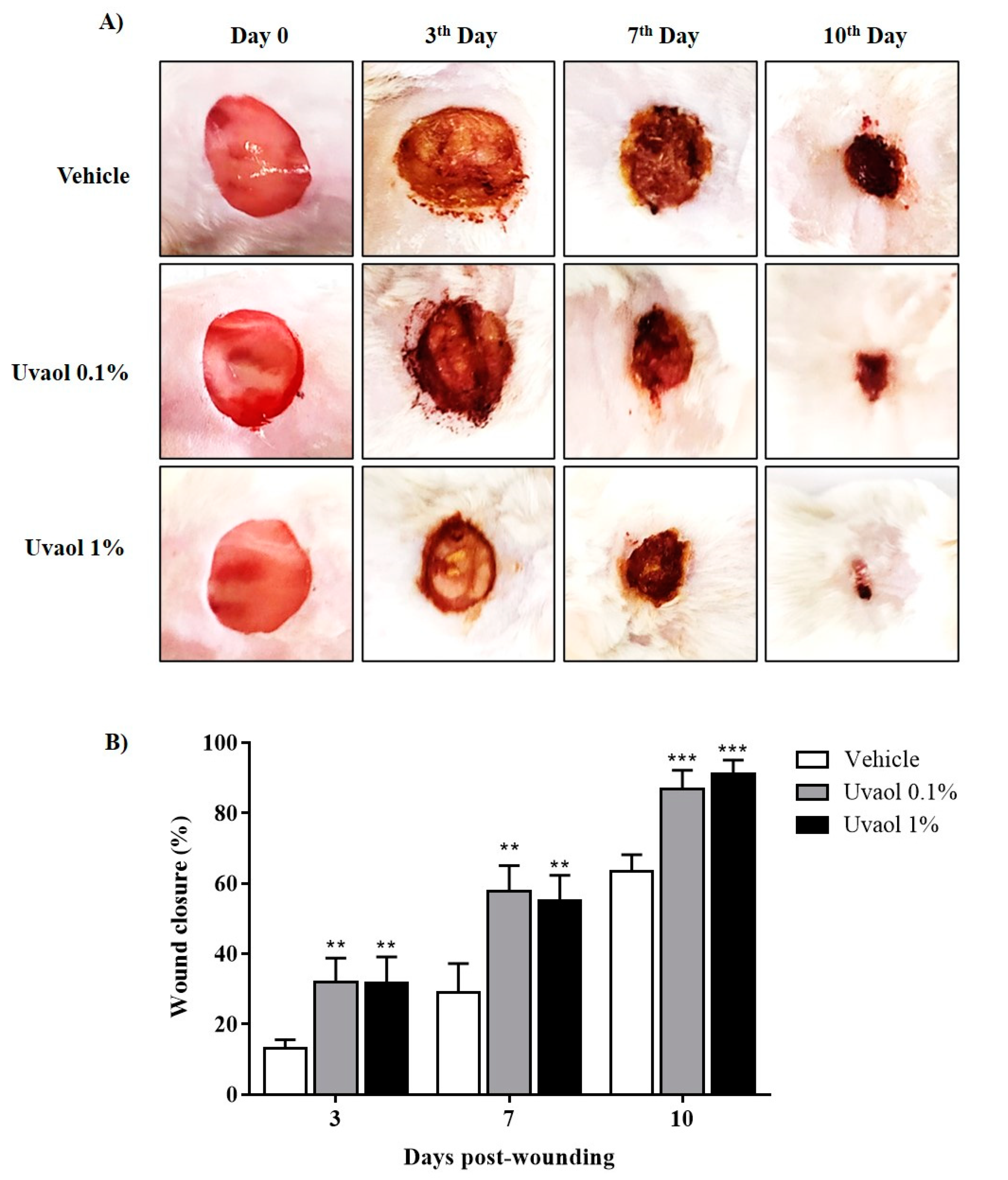 Molecules 25 04982 g008 Molecules 25 04982 g008