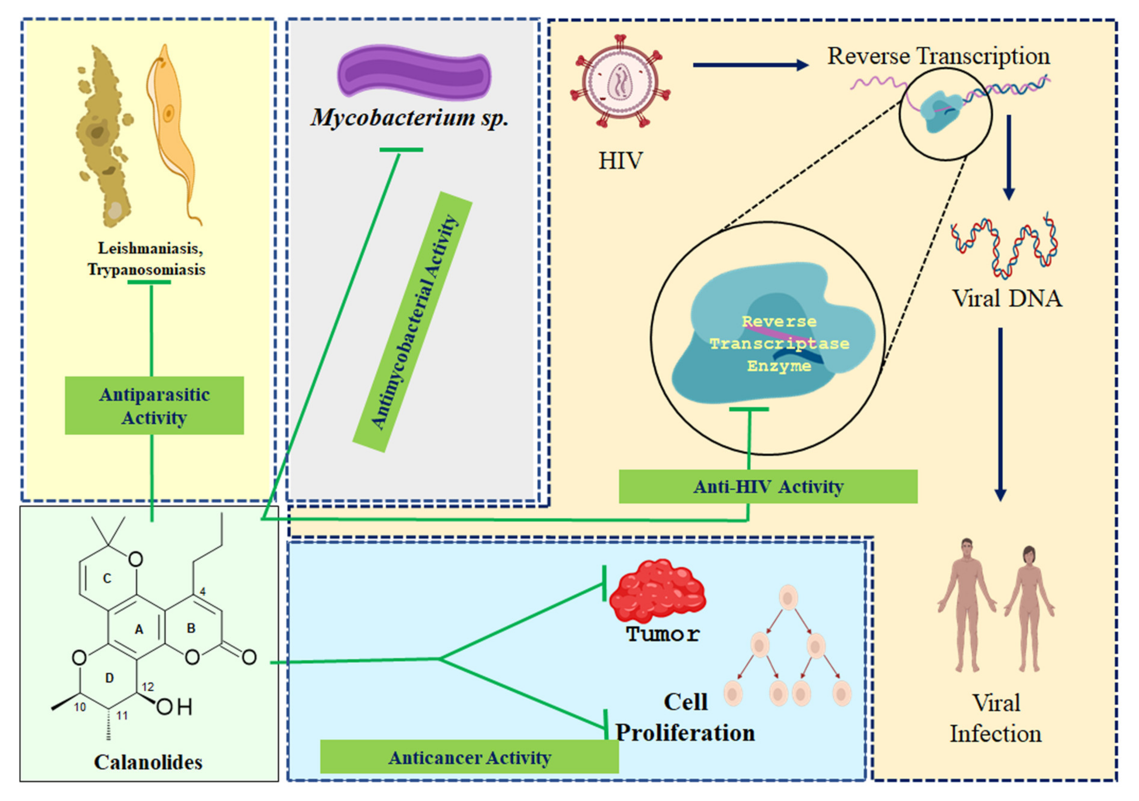 Molecules 25 04983 g003 Molecules 25 04983 g003