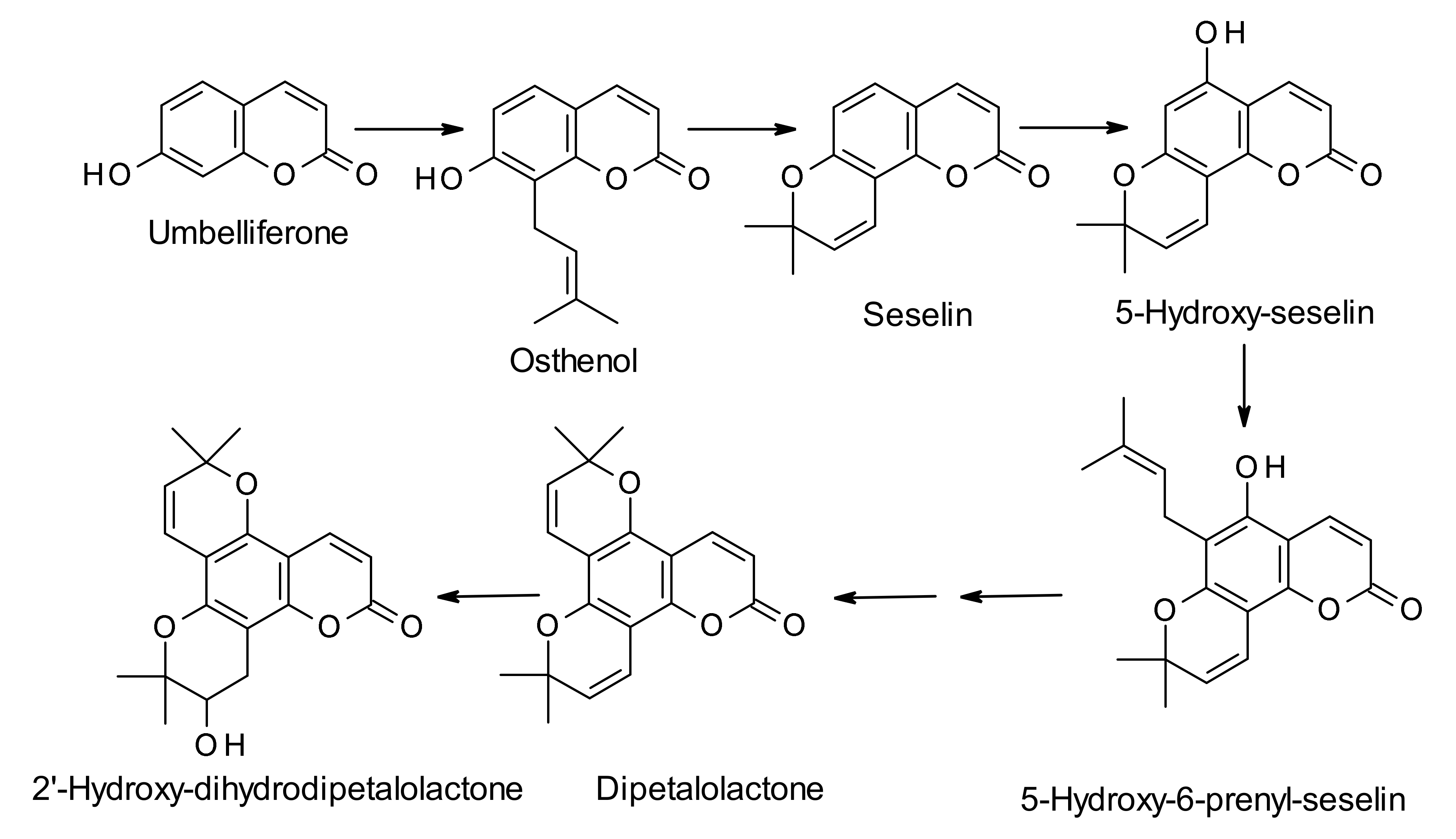 Molecules 25 04983 sch001 Molecules 25 04983 sch001