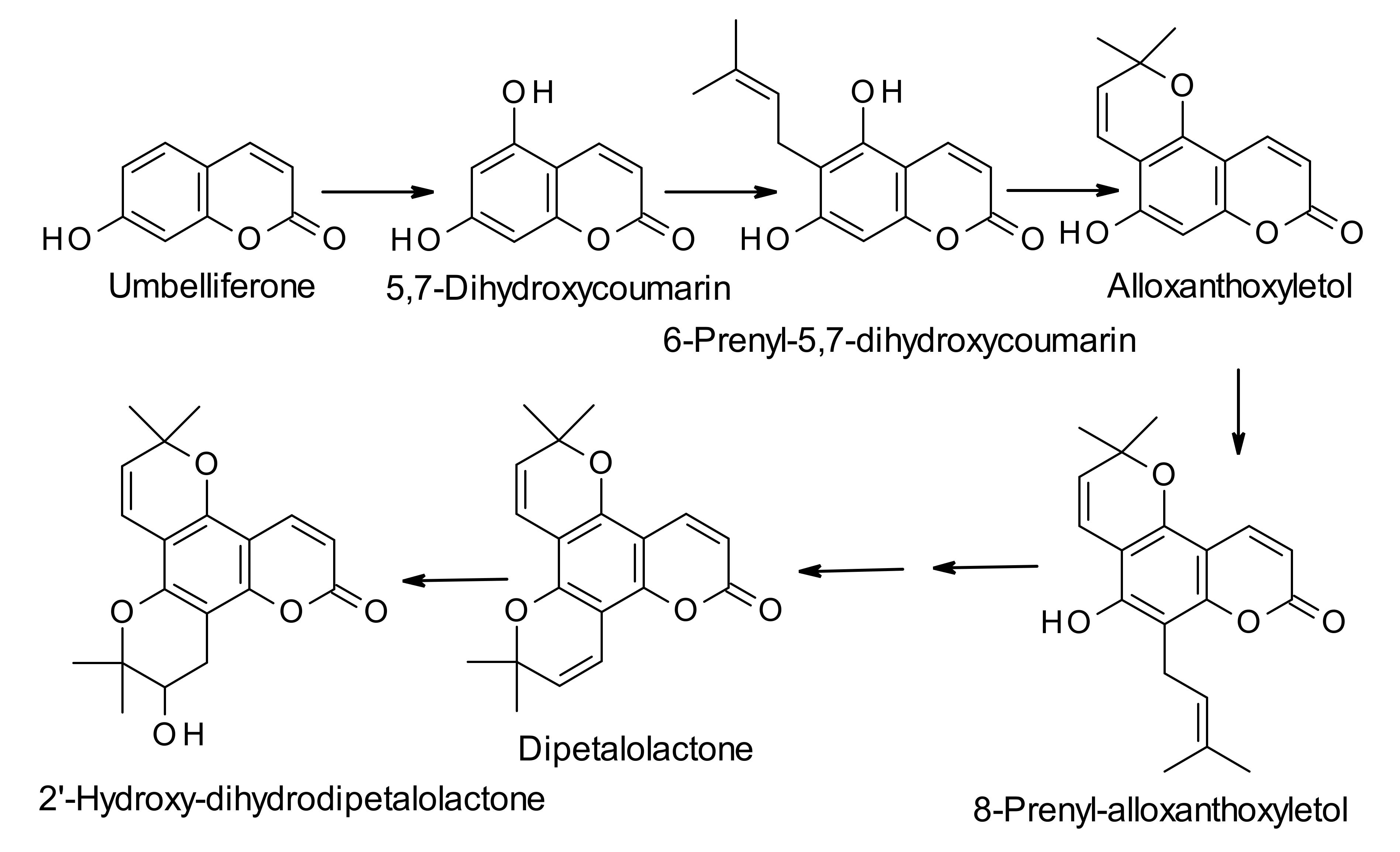 Molecules 25 04983 sch002 Molecules 25 04983 sch002