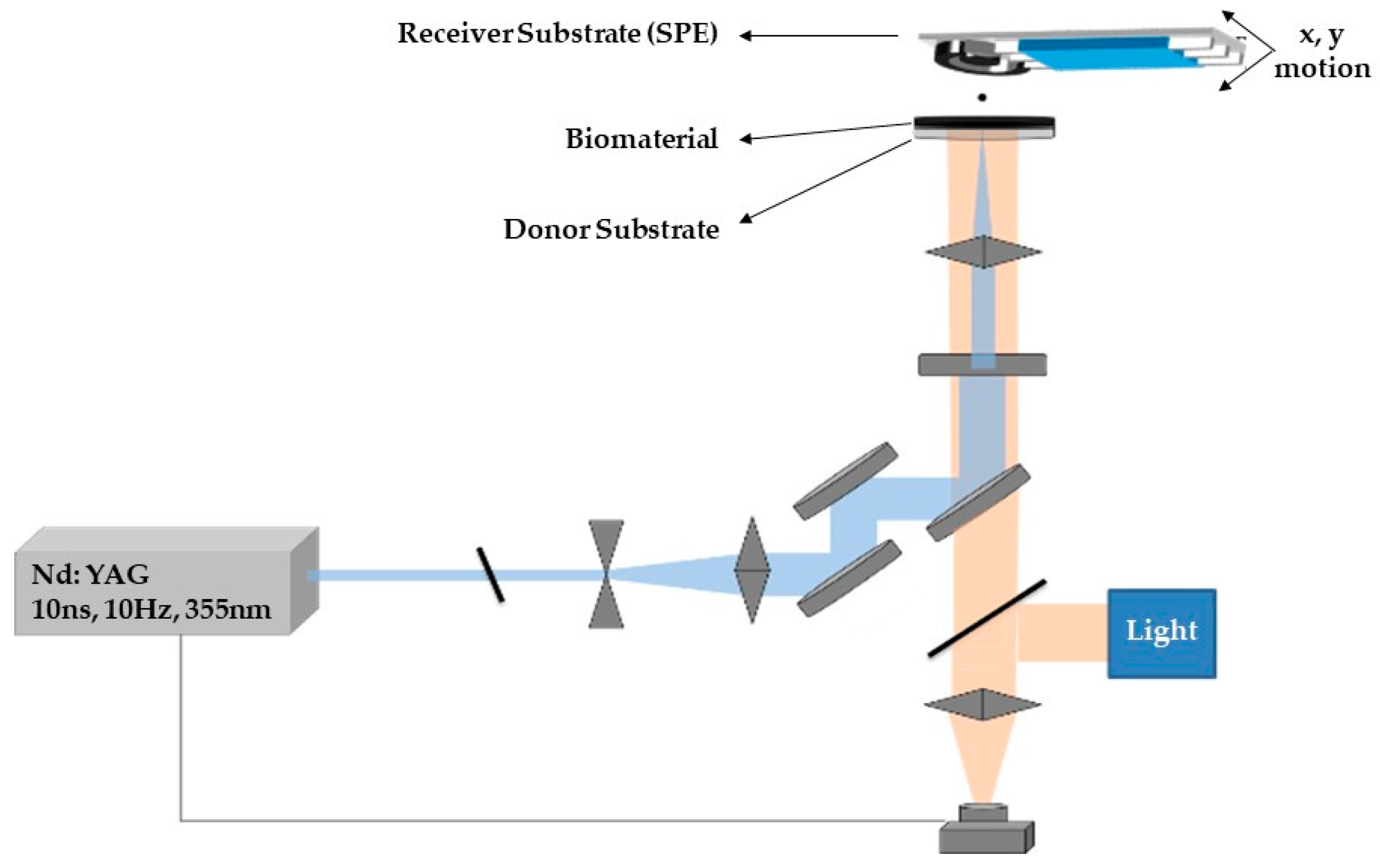 Molecules 25 04988 g011 Molecules 25 04988 g011