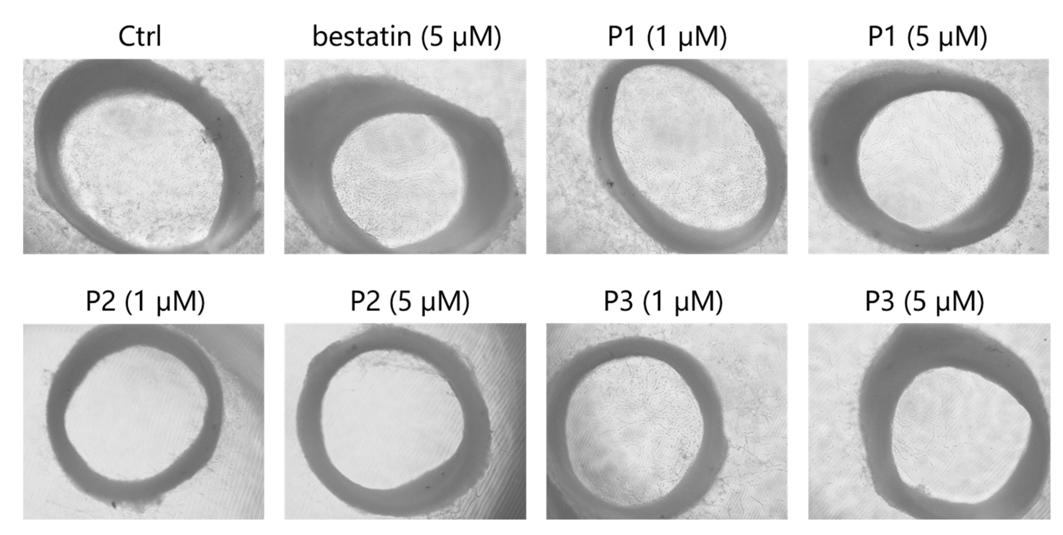 Molecules 25 04991 g005 Molecules 25 04991 g005