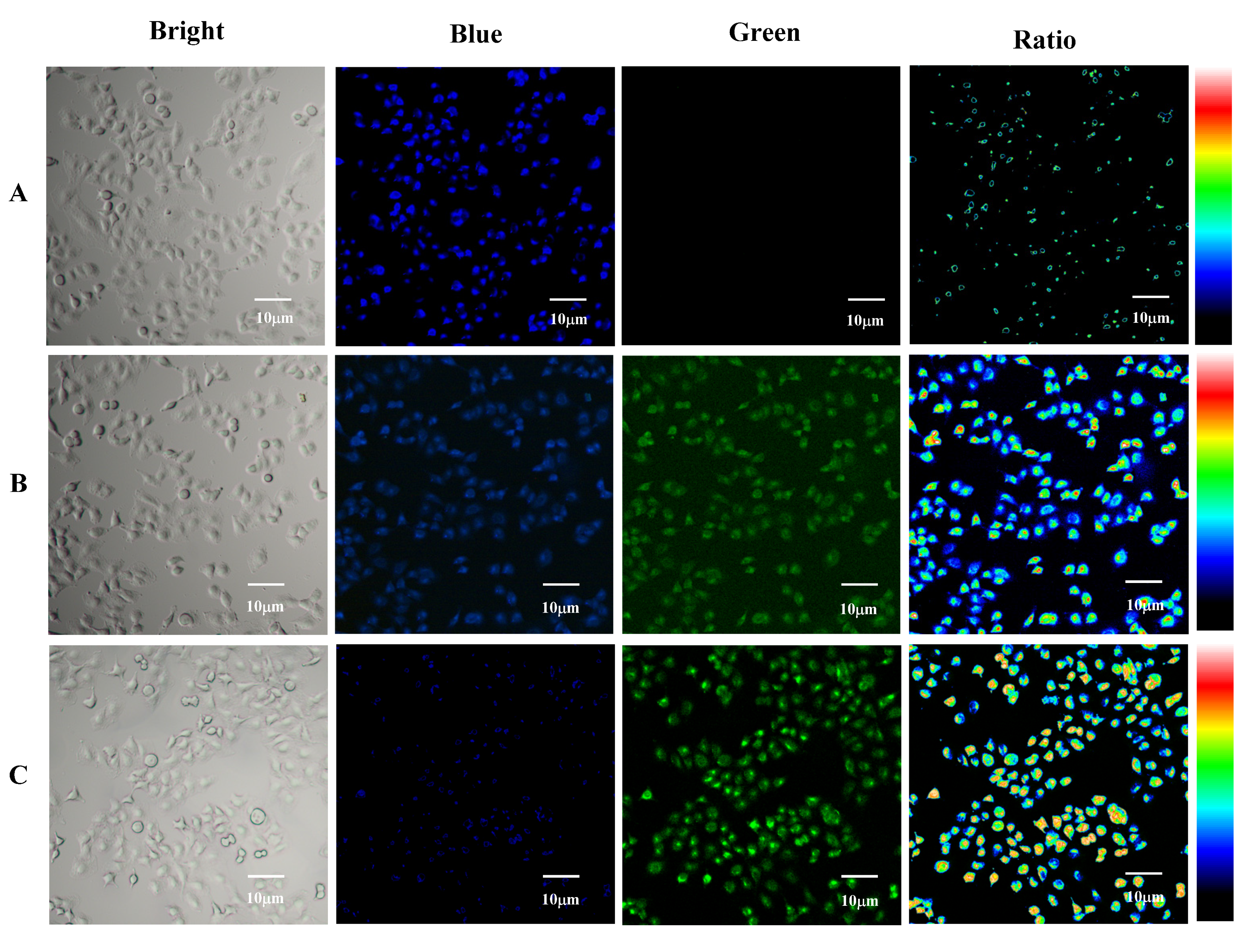 Molecules 25 04999 g006 Molecules 25 04999 g006
