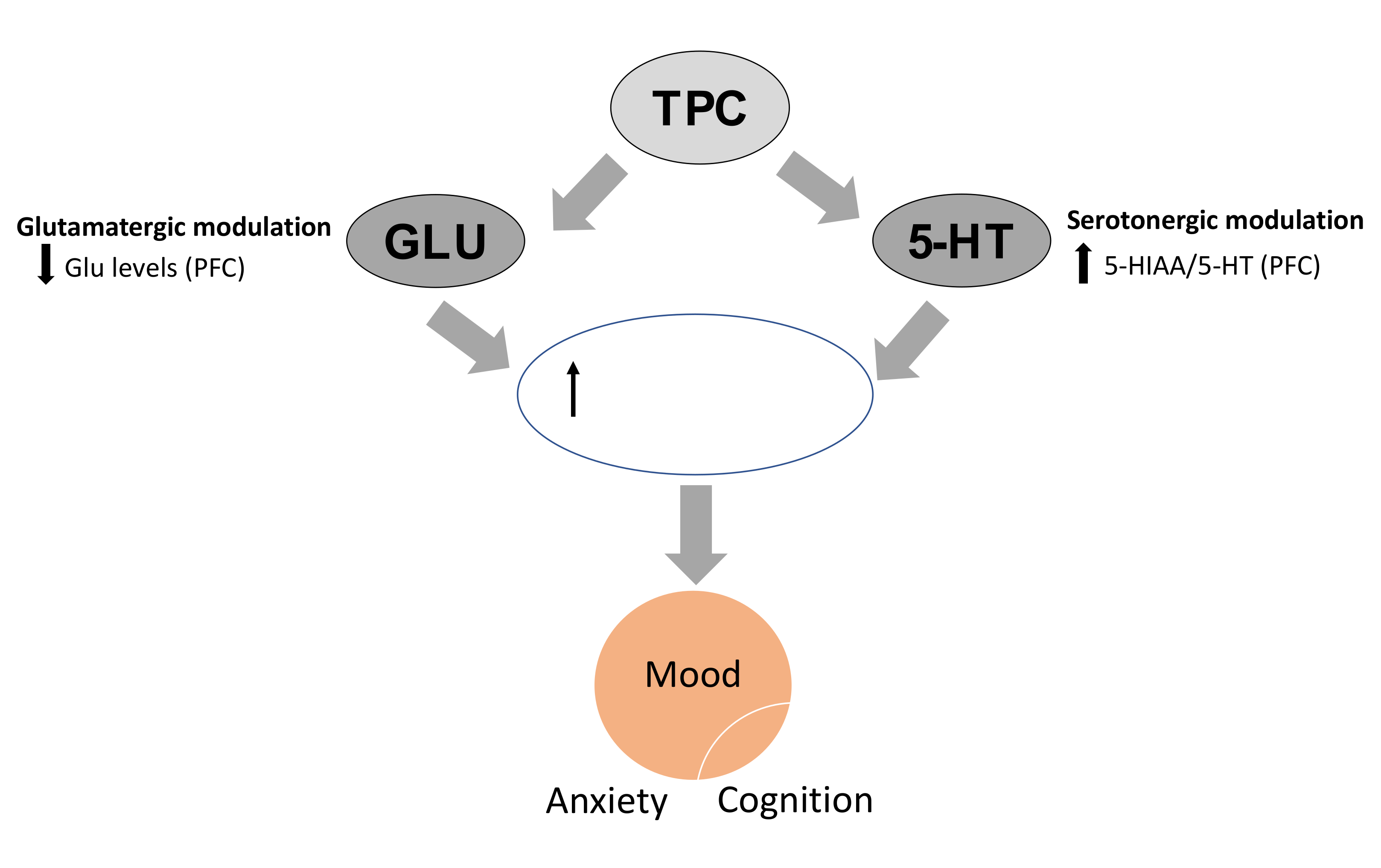 Molecules 25 05000 g007 Molecules 25 05000 g007