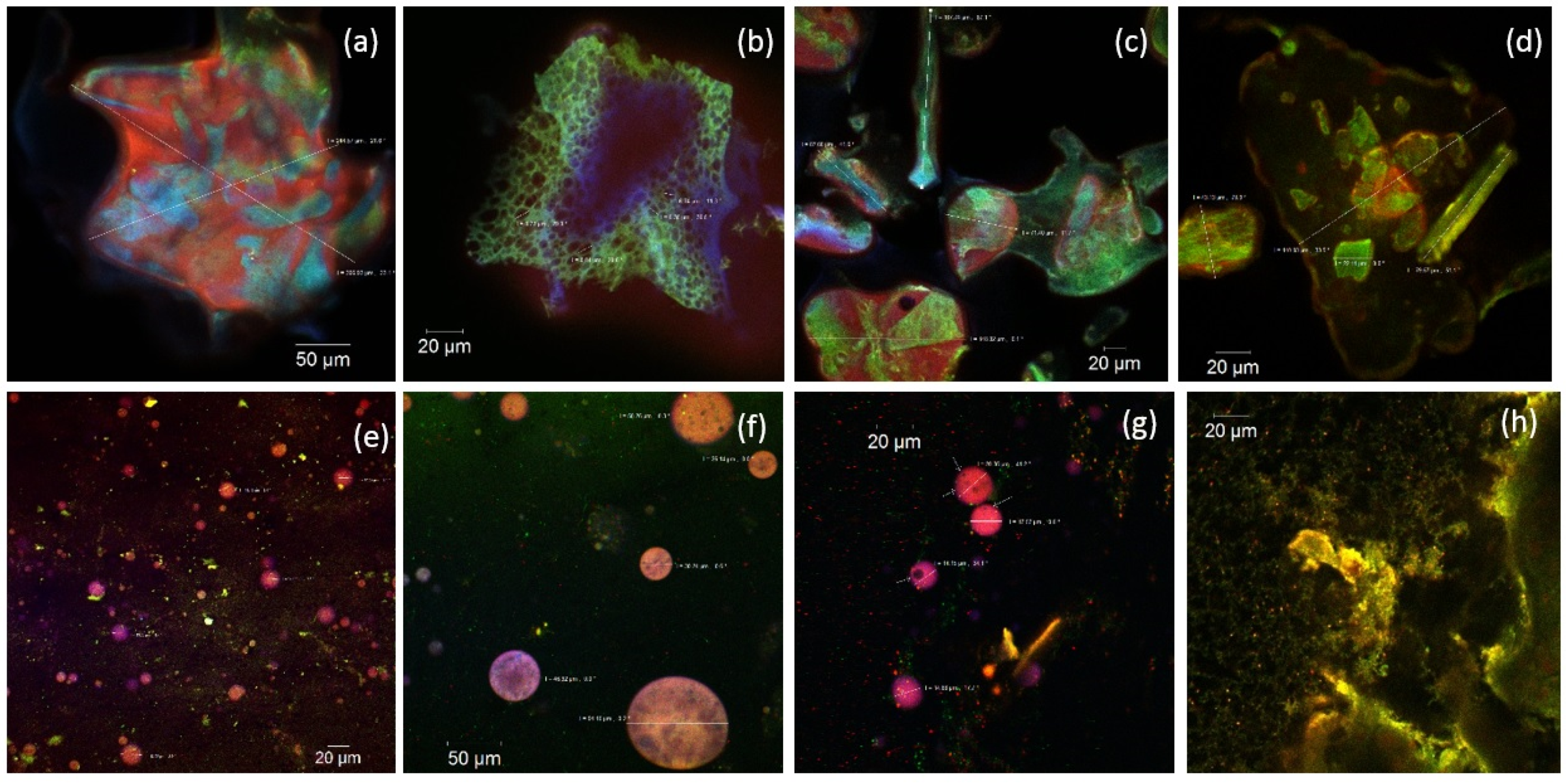 Molecules 25 05001 g001 Molecules 25 05001 g001