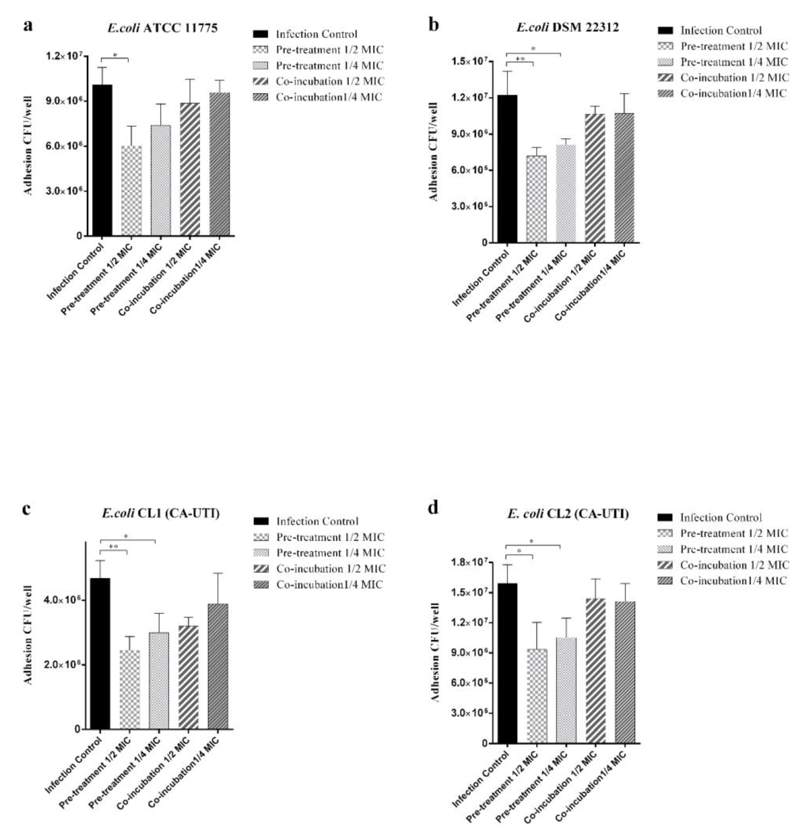 Molecules Free Full Text In Vitro And In Vivo Biological Activity Of Berberine Chloride Against Uropathogenic E Coli Strains Using Galleria Mellonella As A Host Model Html