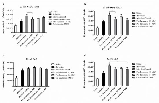 Molecules Free Full Text In Vitro And In Vivo Biological Activity Of Berberine Chloride Against Uropathogenic E Coli Strains Using Galleria Mellonella As A Host Model Html