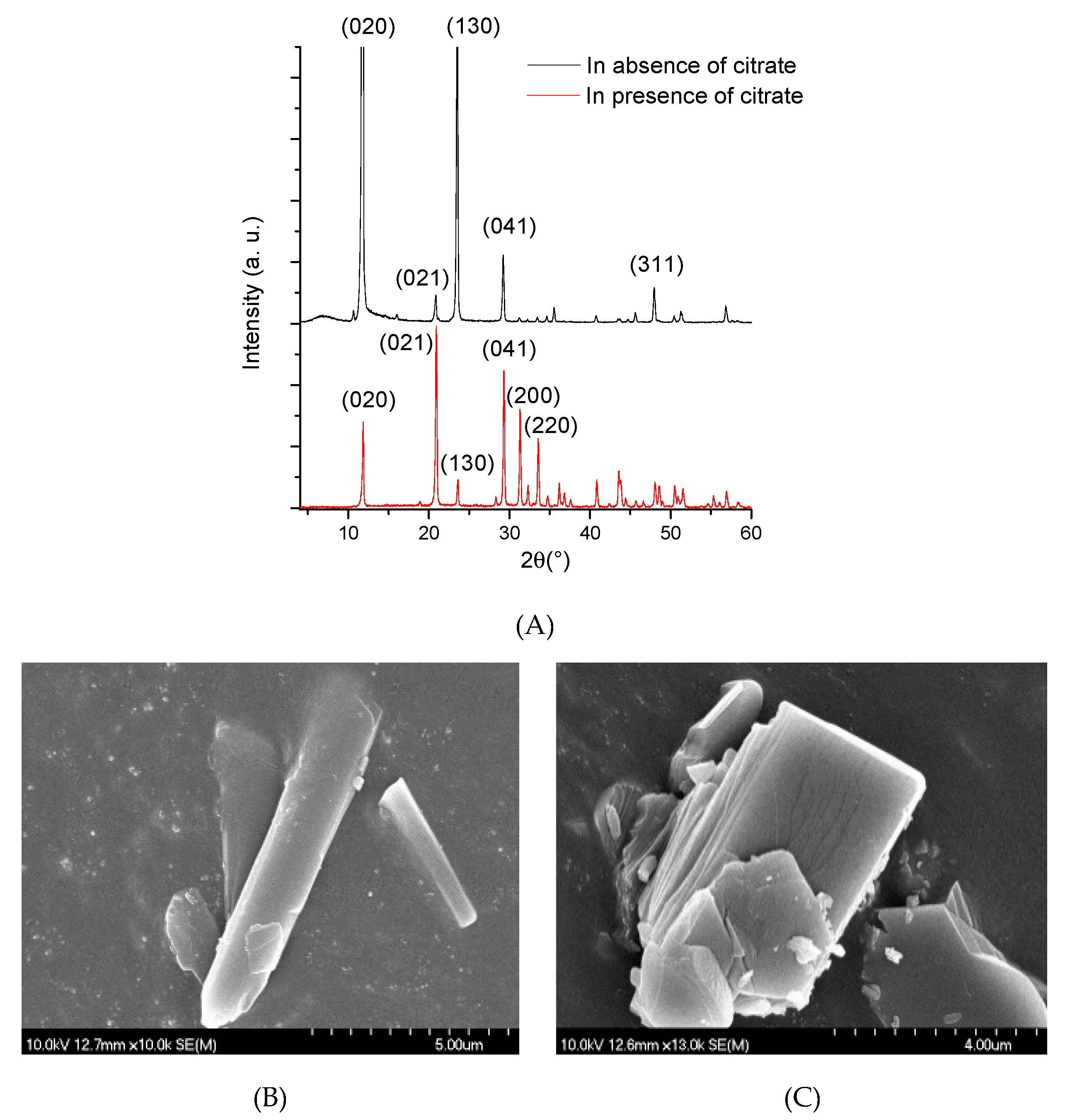 Molecules 25 05012 g004 Molecules 25 05012 g004