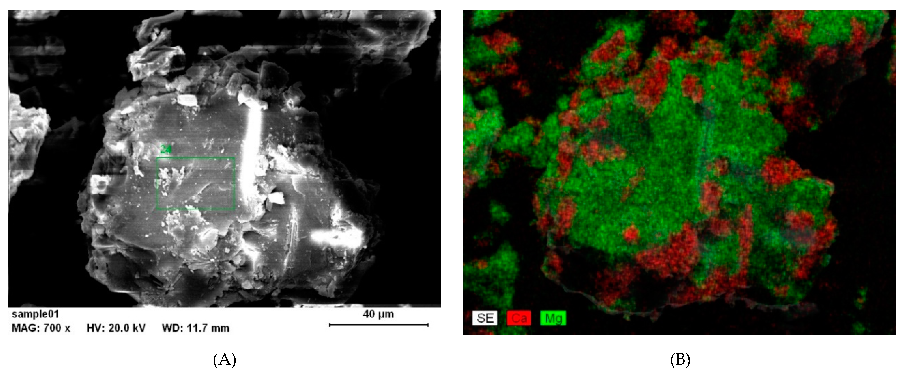 Molecules 25 05012 g009 Molecules 25 05012 g009