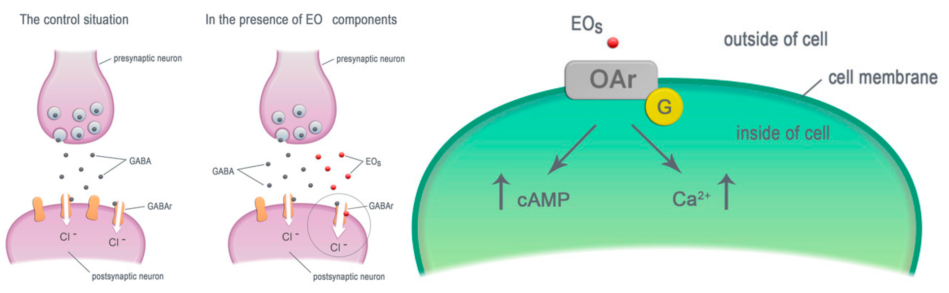 Molecules 25 05014 i001 Molecules 25 05014 i001