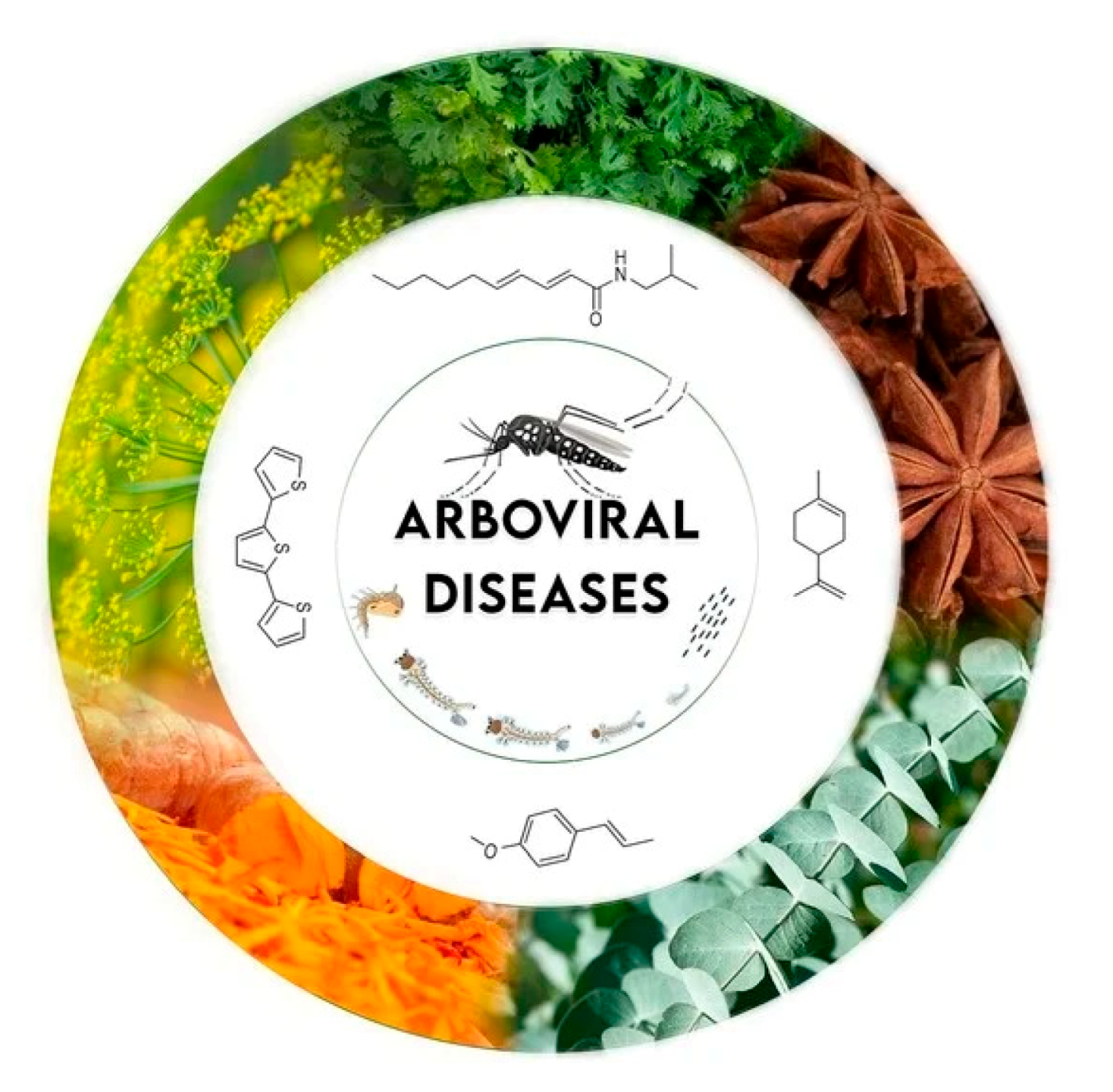 Molecules 25 05014 i002 Molecules 25 05014 i002