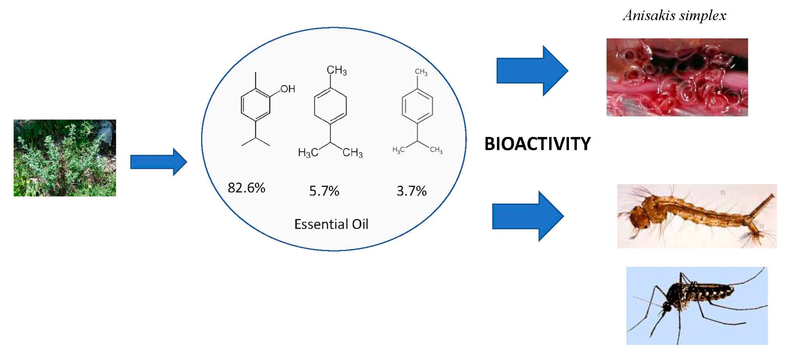 Molecules 25 05014 i003 Molecules 25 05014 i003