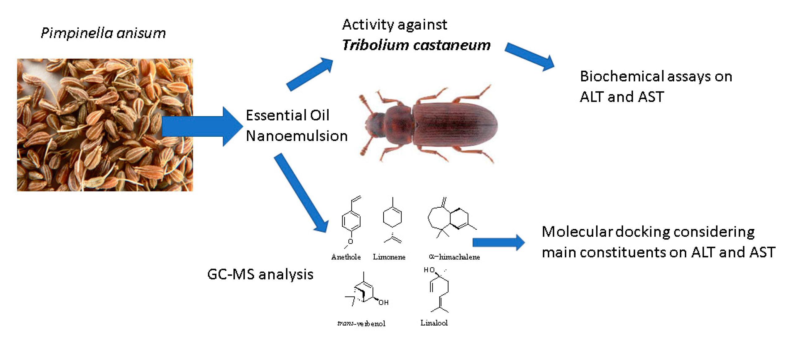 Molecules 25 05014 i004 Molecules 25 05014 i004