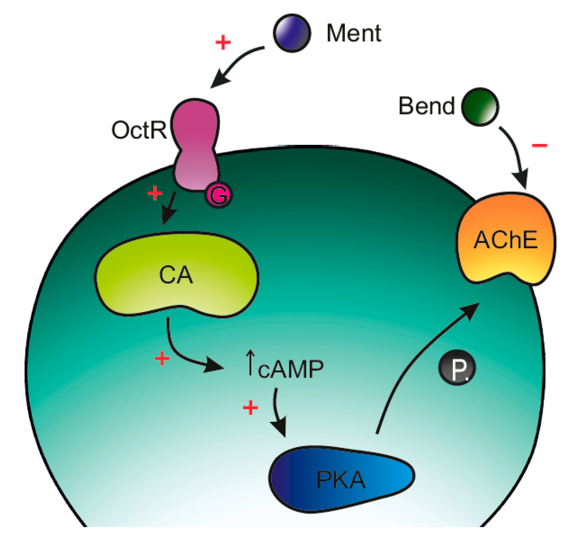 Molecules 25 05014 i008 Molecules 25 05014 i008