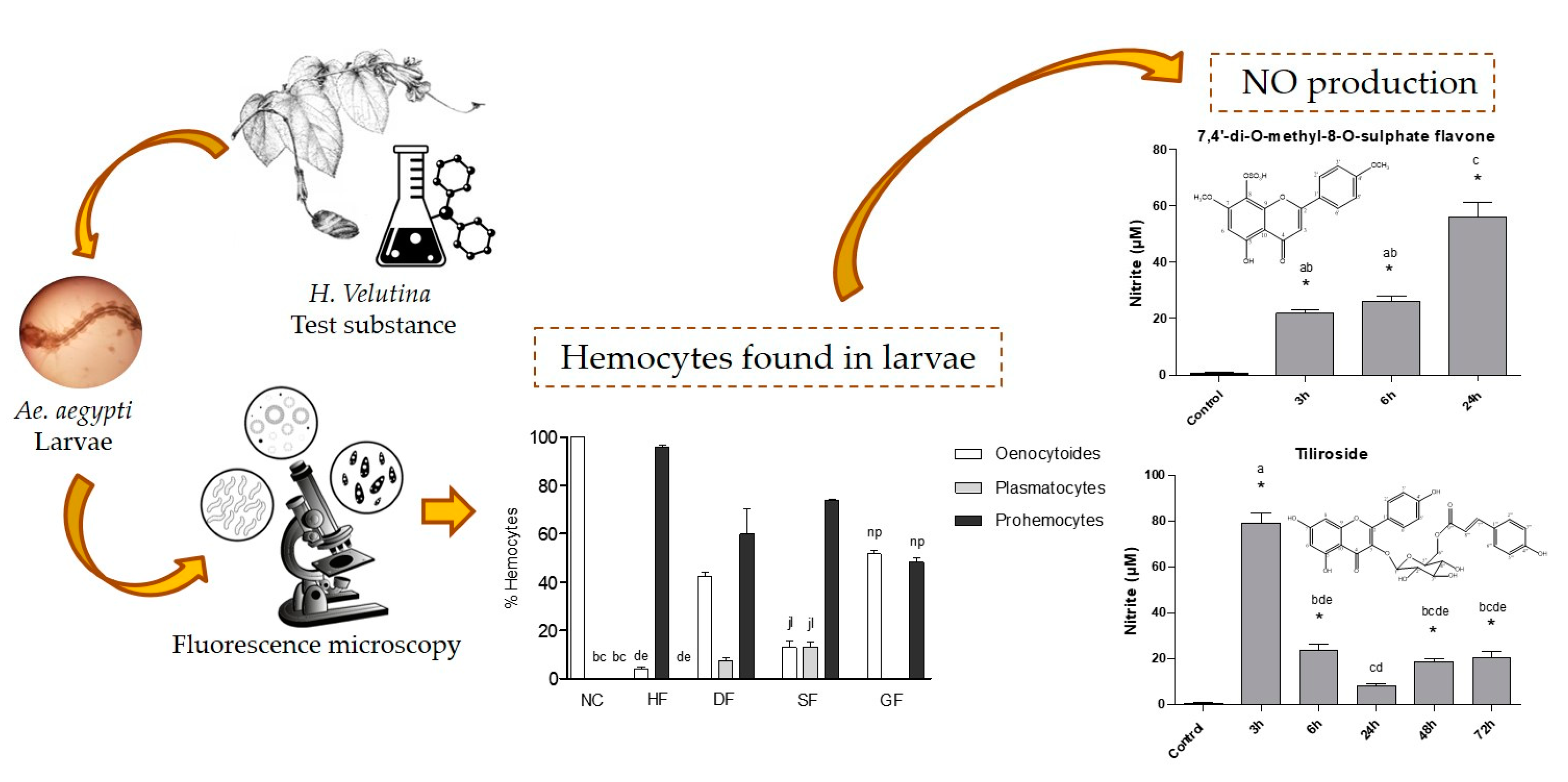 Molecules 25 05014 i009 Molecules 25 05014 i009