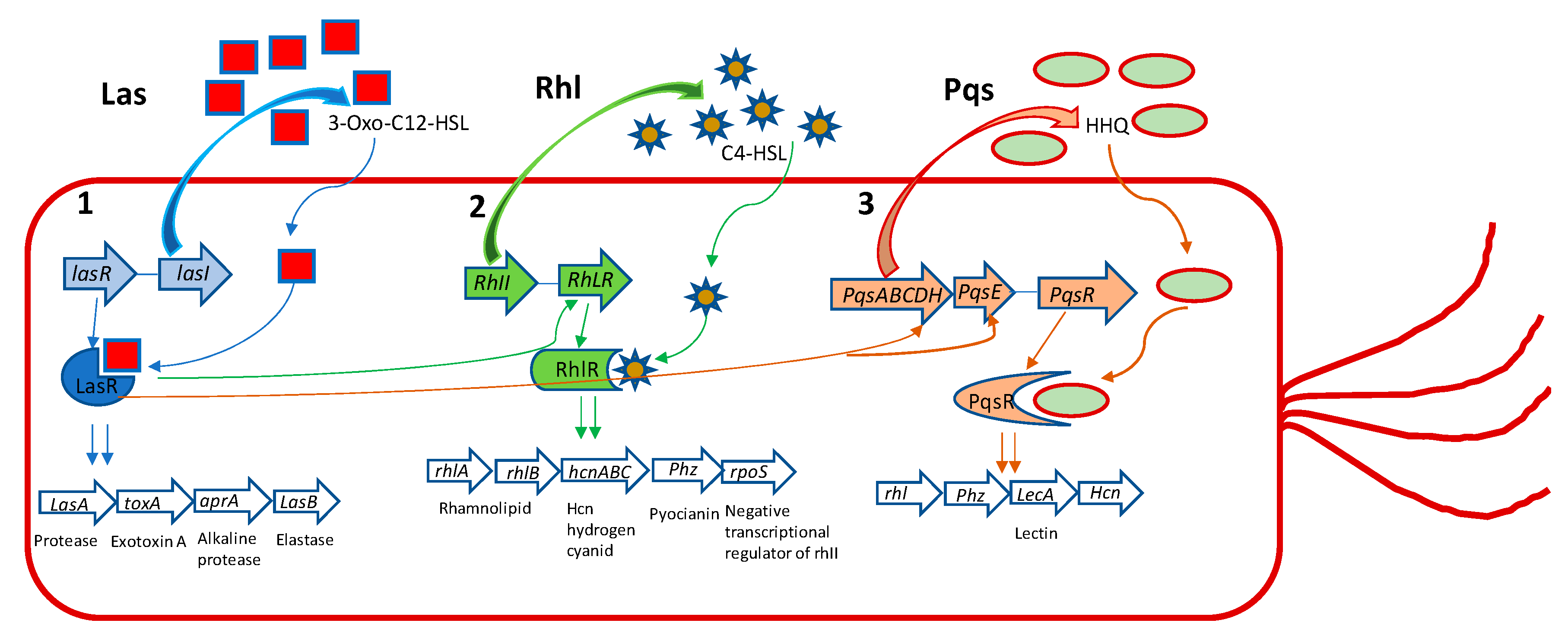 Molecules 25 05024 g001