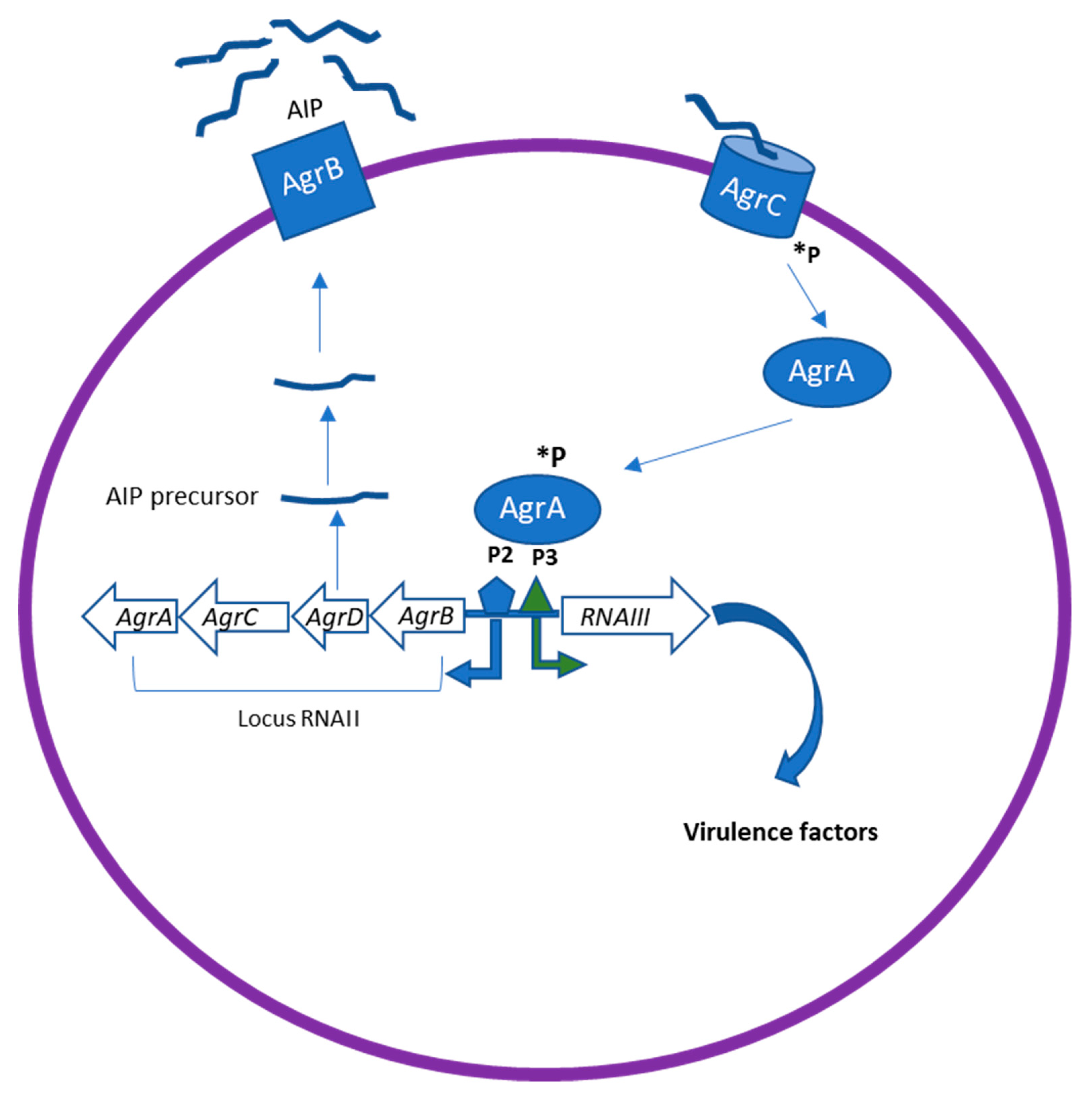 Molecules 25 05024 g002